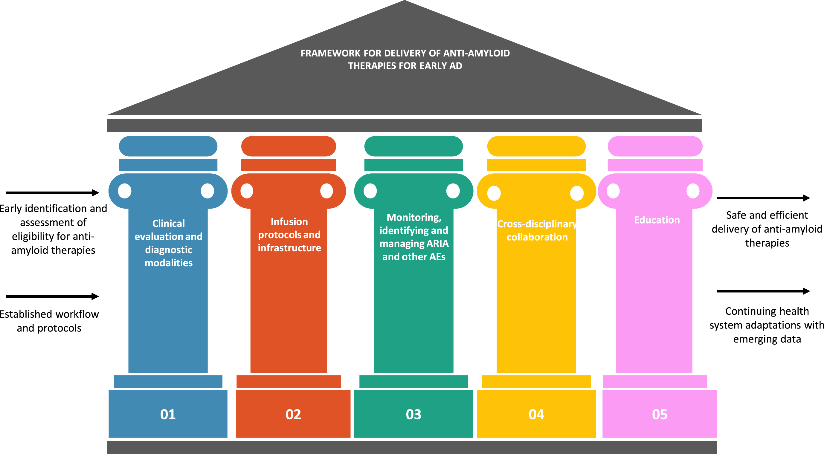 Pillars of the framework for best practices and readiness for anti-amyloid therapies for early AD in Asia. AD, Alzheimer’s disease; AE, adverse event; ARIA, amyloid-related imaging abnormalities.