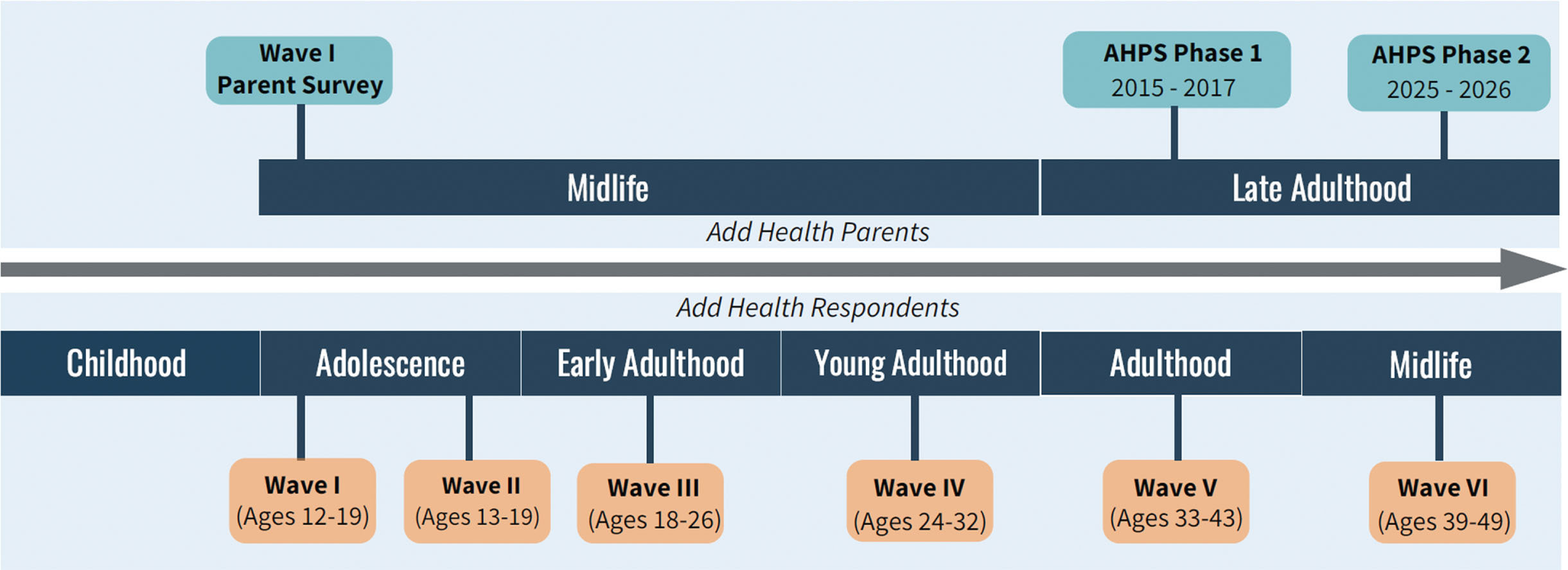 Intergenerational life course overlap of AHPS and add health interview timelines.