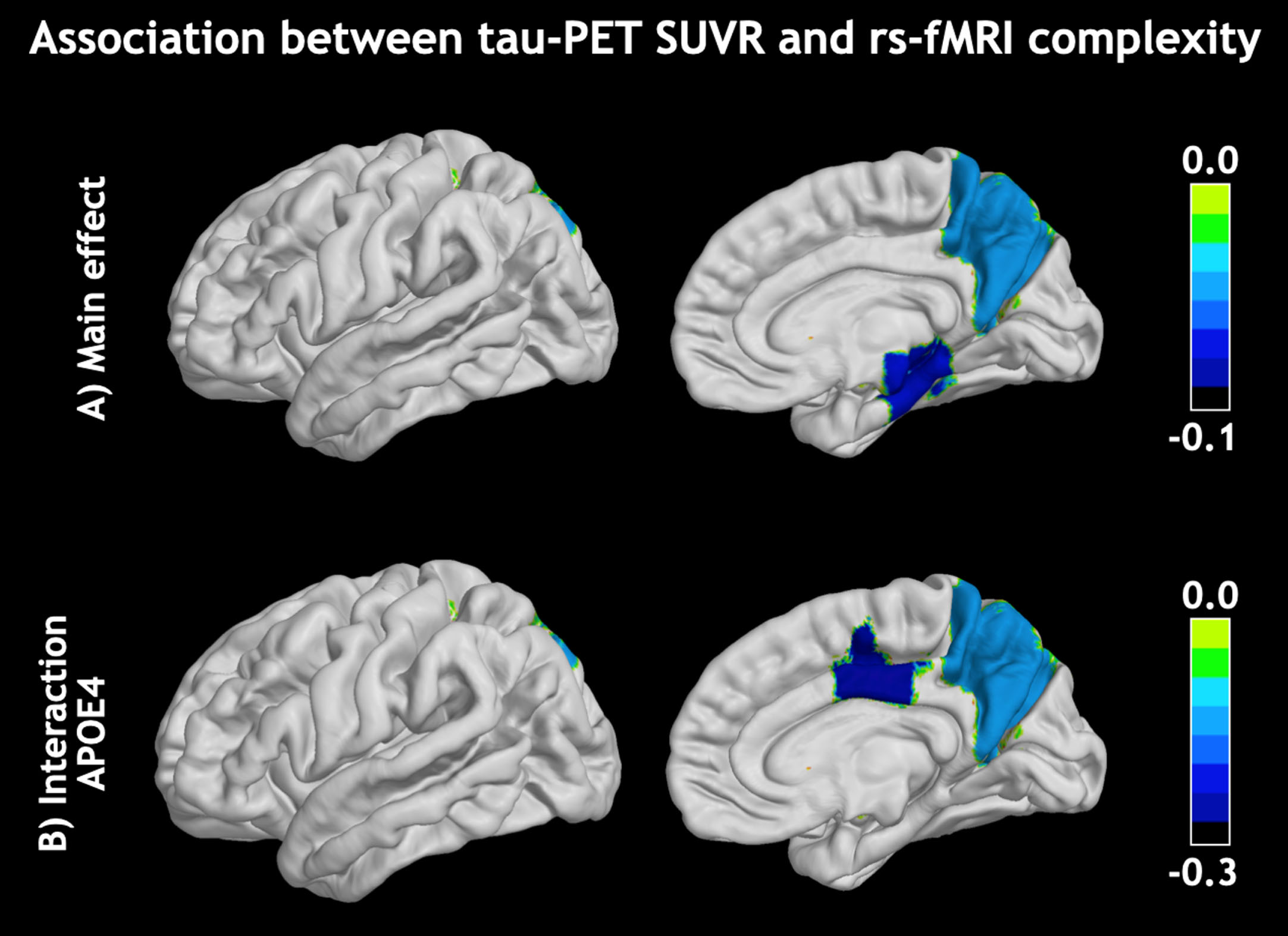 Visualization of A) main effect on the association between fMRI-complexity and tau-PET SUVR and B) APOE ɛ4 presence enhanced this association. There were no associations with amyloid-PET SUVR.