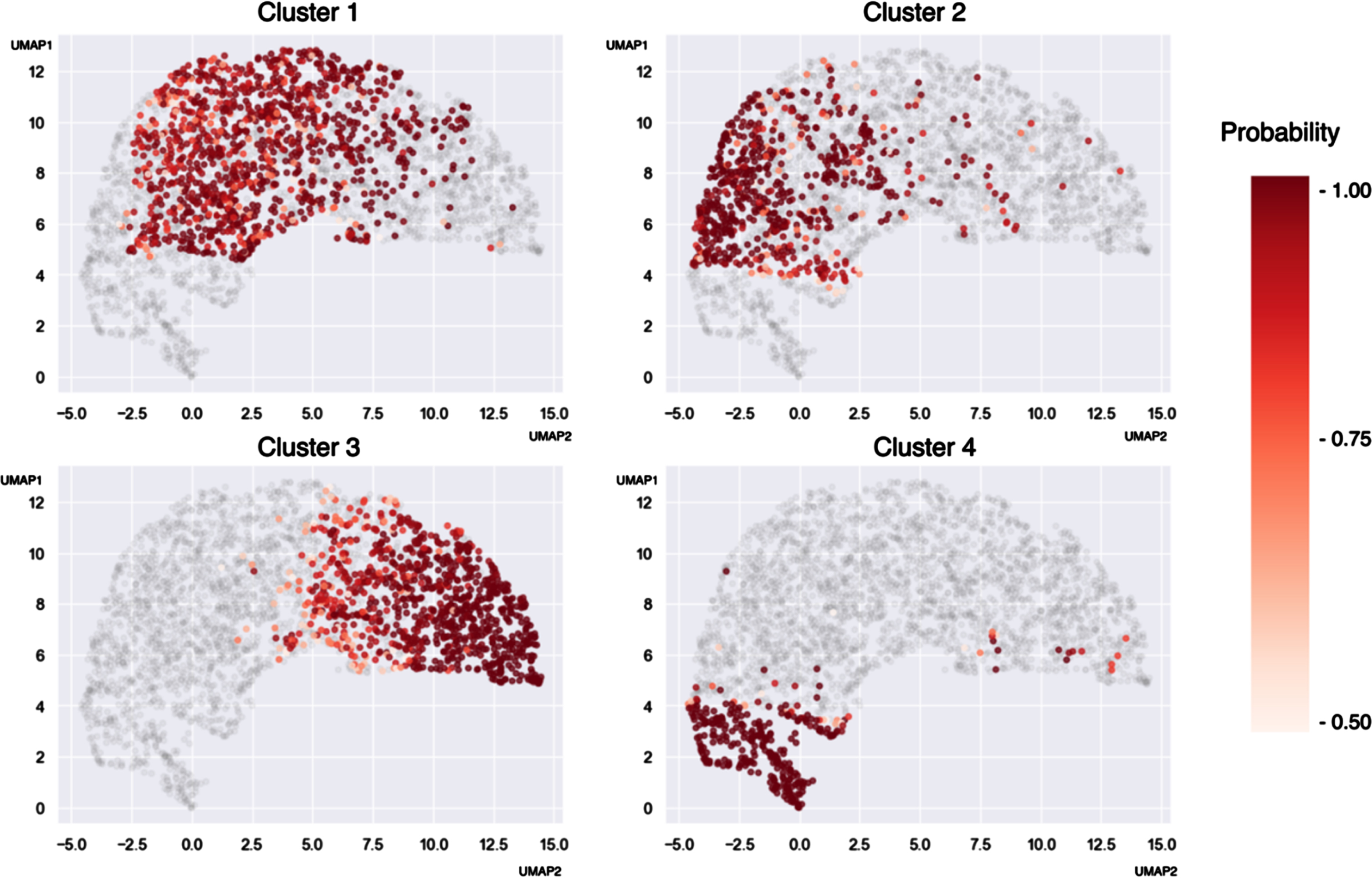 UMAP [39] bidimensional projection of the variables used to perform the clustering. The intensity represents the probability of cluster membership given by the GMM.