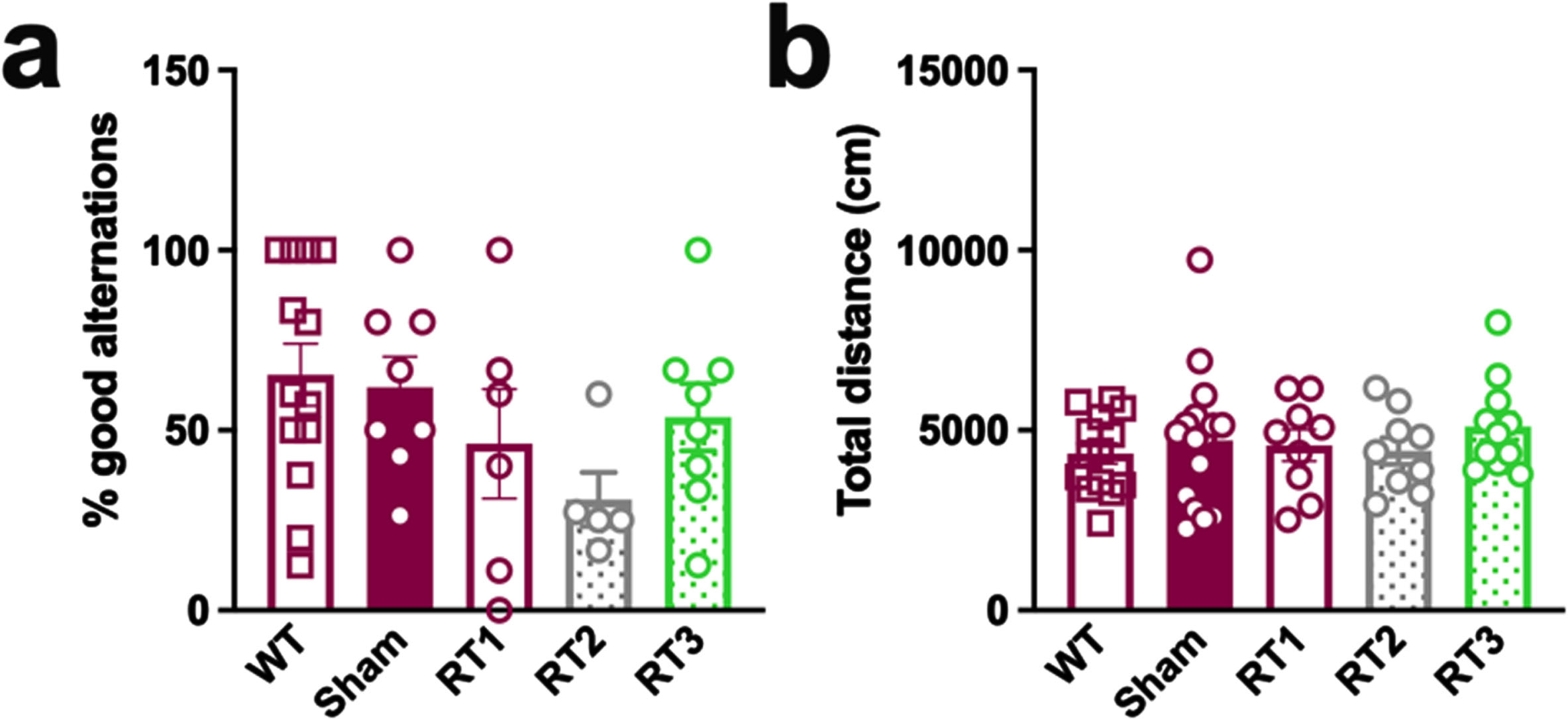 LD-RT does not influence behavioral performances of TgAD rats. (a) The spatial working memory of rats was assessed 2 months after the last session of LD-RT using the alternative Y maze test. One-way ANOVA. (b) Quantification of the general locomotion of animals in the open field after LD-RT. Kruskal-Wallis test.