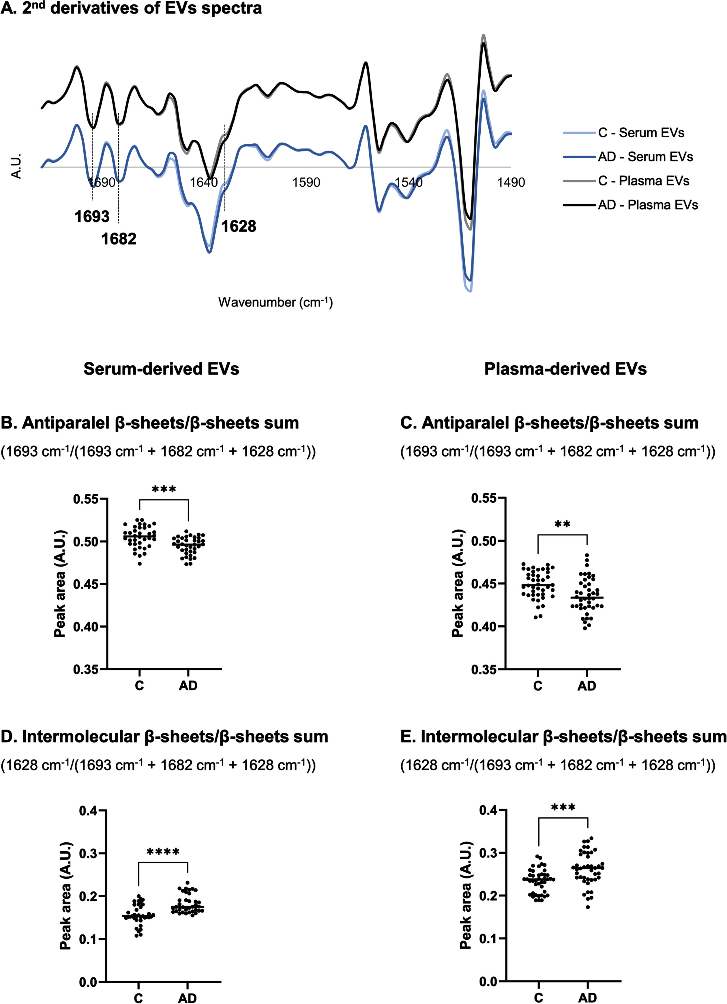 Analysis of second derivative peak area in 1720–1490 cm–1 region of serum- and plasma-derived EVs spectra. Mean second derivative of serum-derived EVs of Controls and AD cases (n = 12 samples per group, 3 replicates were analyzed for each sample) or plasma-derived EVs spectra of Controls and AD cases (n = 14 samples per group, 3 replicates were analyzed for each sample) (A) in 1720–1490 cm–1 region and peak area analysis of FTIR spectra for serum- and plasma-derived EVs (B–E). **p≤0.01; ***p≤0.001; ****p≤0.0001. AD, Alzheimer’s disease; A.U., arbitrary units; C, controls; EVs, extracellular vesicles.