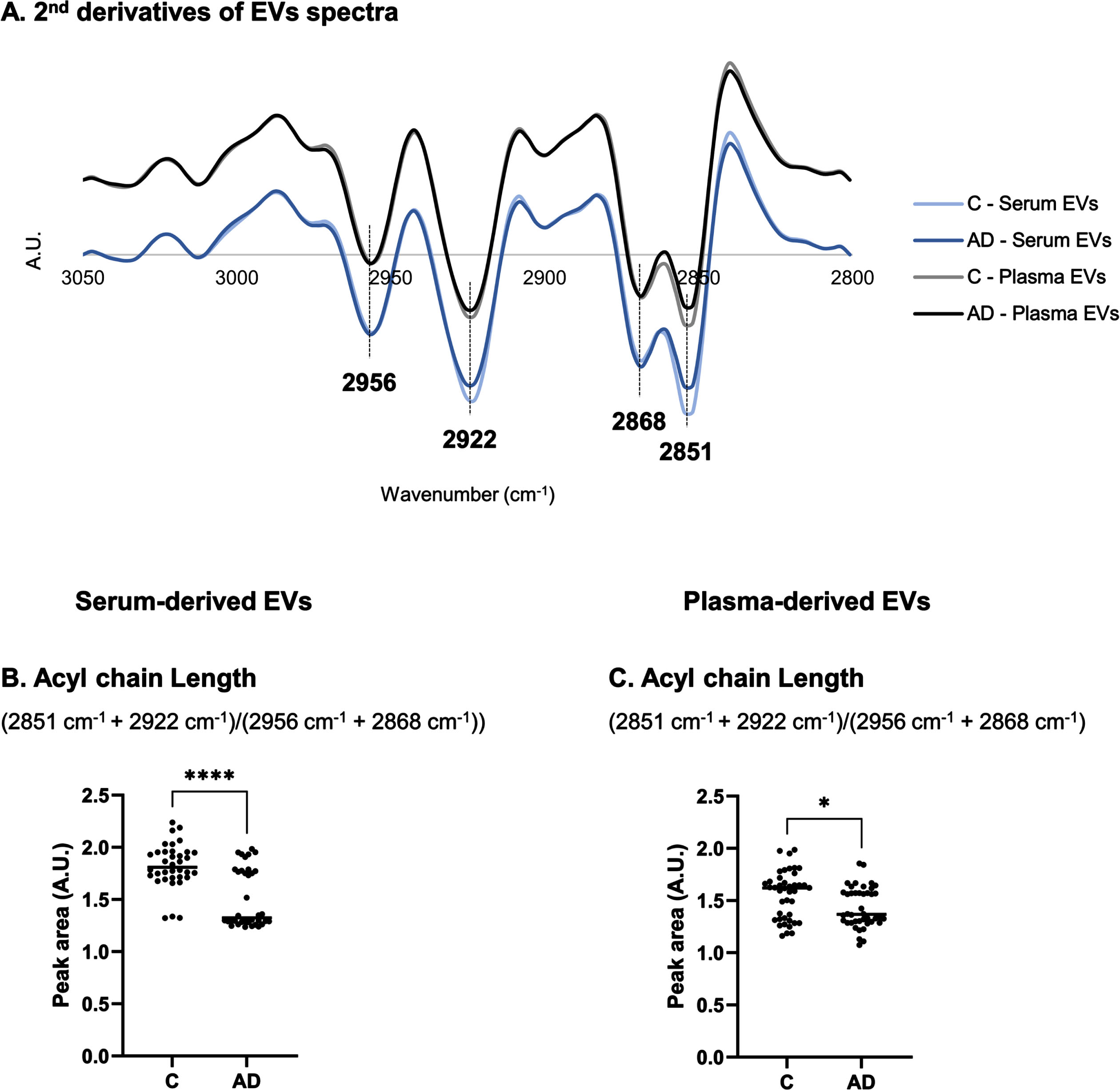 Analysis of second derivative peak area in 3050–2800 cm–1 region of serum- or plasma-derived EVs spectra. Mean second derivative of serum- or plasma-derived EVs spectra of Controls and AD cases (A) in 3050–2800 cm–1 and peak area analysis of FTIR spectra for serum- and plasma-derived EVs (C-D). Three replicates were analyzed for each sample. *p≤0.05; ****p≤0.0001. AD, Alzheimer’s disease; A.U., arbitrary units; C, controls; EVs, extracellular vesicles.