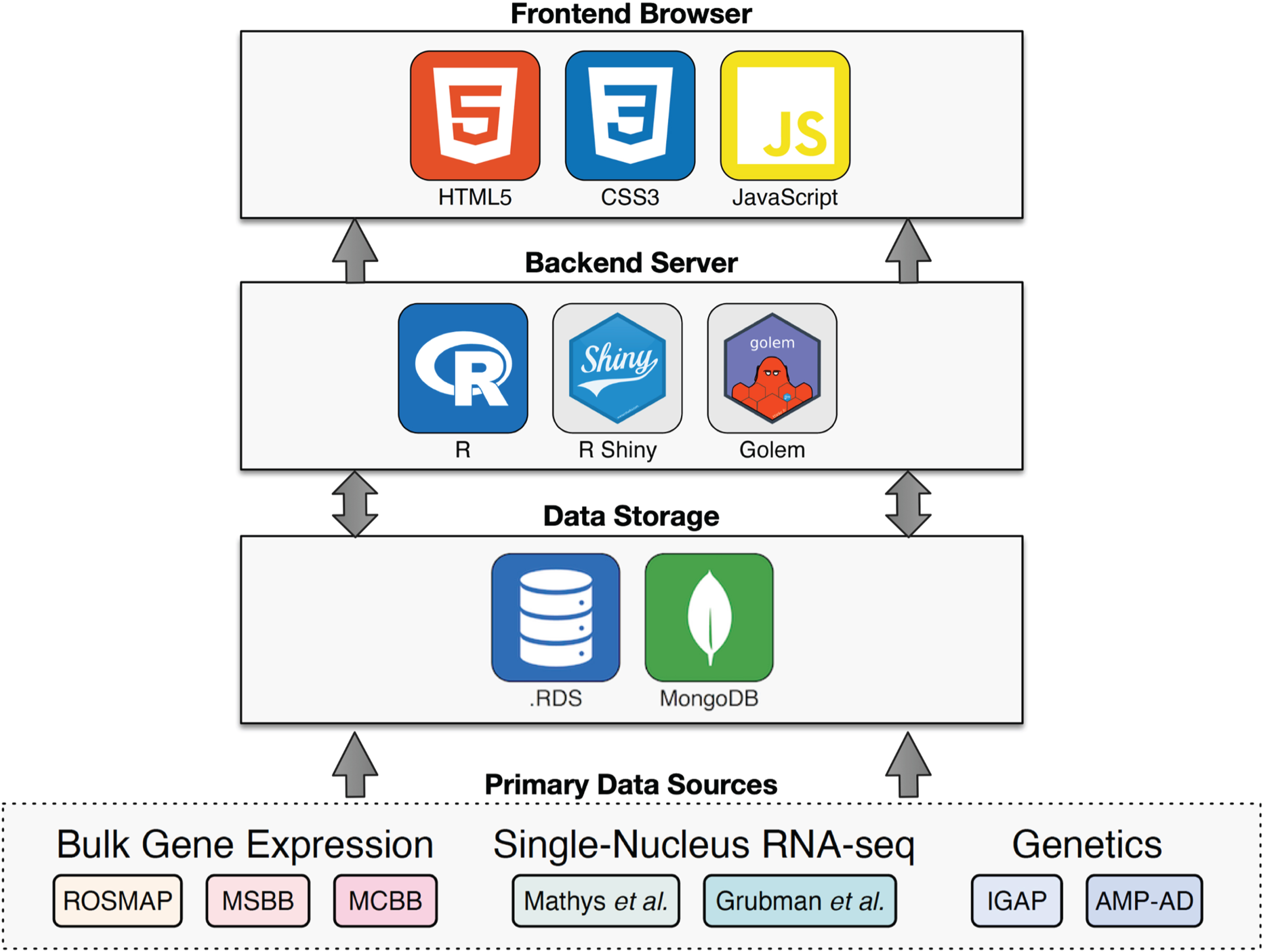 Architecture overview. Summary of the technology stack used in Alzheimer DataLENS. Primary data is processed by consistent pipelines and stored either in a MongoDB database or as.RDS files. The R Shiny server queries and processes the data to display on the front-end web browser.