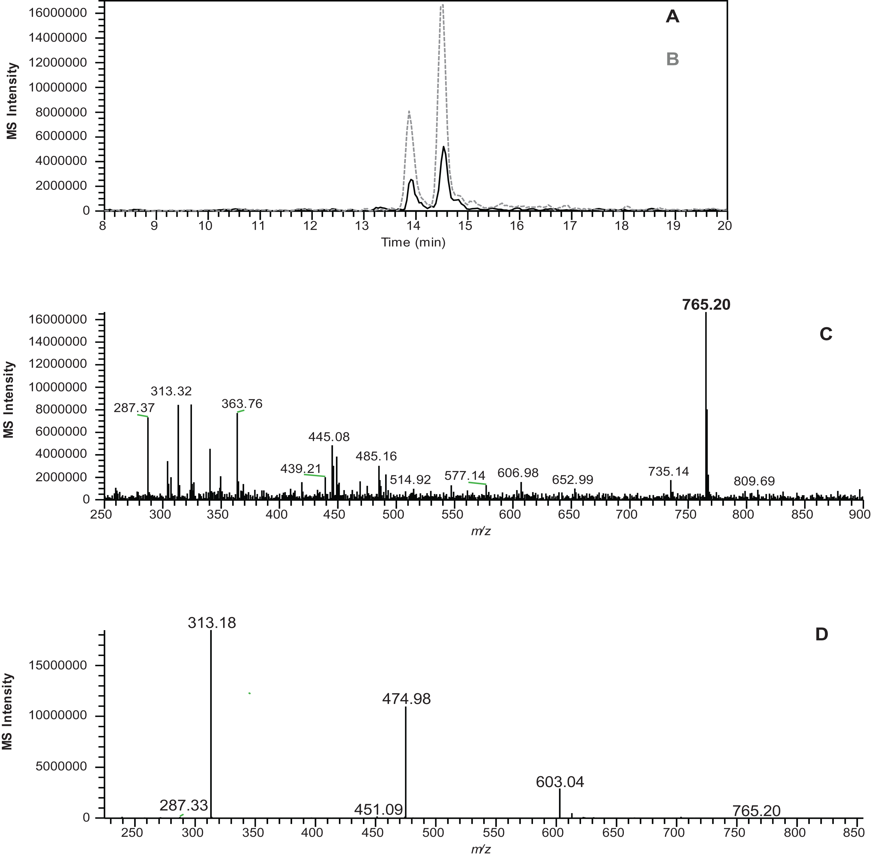Fractionation of lingonberry m/z 765 component on Sephadex LH-20. Panel A shows the MS profile of original lingonberry sample at m/z [M+H]+ 765, Panel B shows the MS profile of LH-unbound sample at m/z [M+H]+ 765, Panel C shows the MS spectra & Panel D shows the MS2 spectra of m/z [M+H]+ 765. Data for panels C & D was taken from the LH-20 unbound fraction.