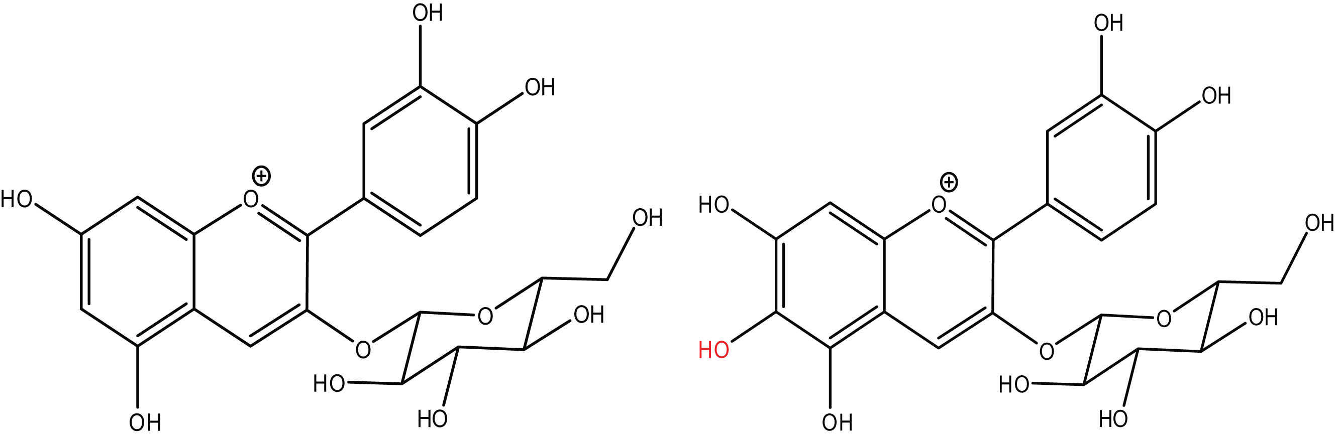 Cyanidin-3-O-β-glucoside and proposed structure of Compound 1.