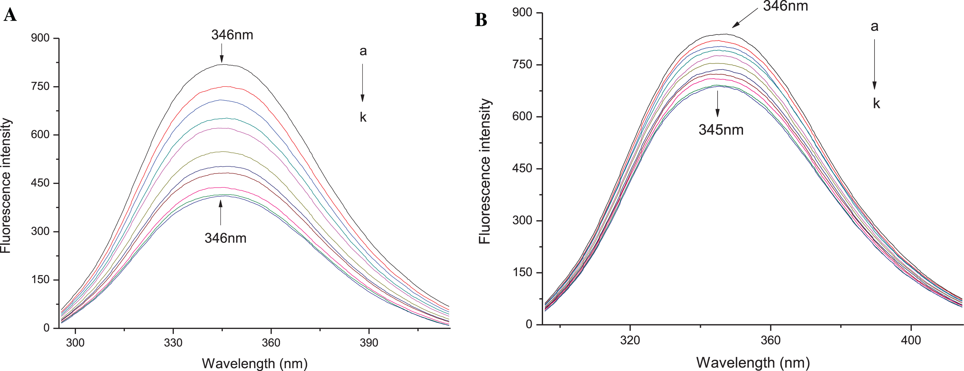 Quenching effect of Dp chloride and Mv-3-glc chloride on human serum albumin fluorescence spectra at excitation wavelength of 280 nm. HSA, 10 μmol/L; a-k: 0.0, 1.0, 2.0, 3.0, 4.0, 5.0, 6.0, 7.0, 8.0, 9.0, 10.0×10 - 6 mol/L Dp chloride (A) and Mv-3-glc chloride (B).