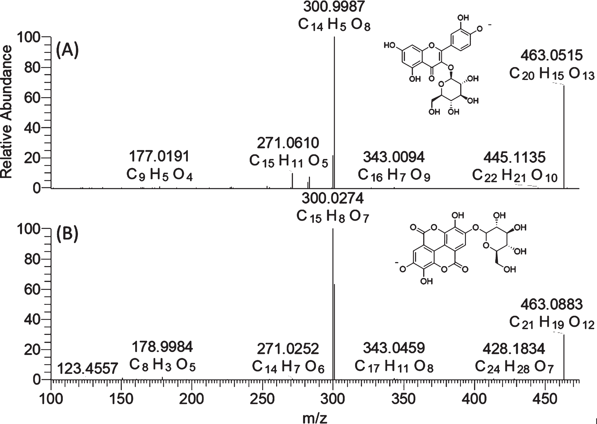 High-resolution mass spectra (MS2) of quercetin-3-O-glucoside (A) and ellagic acid glucoside (B).