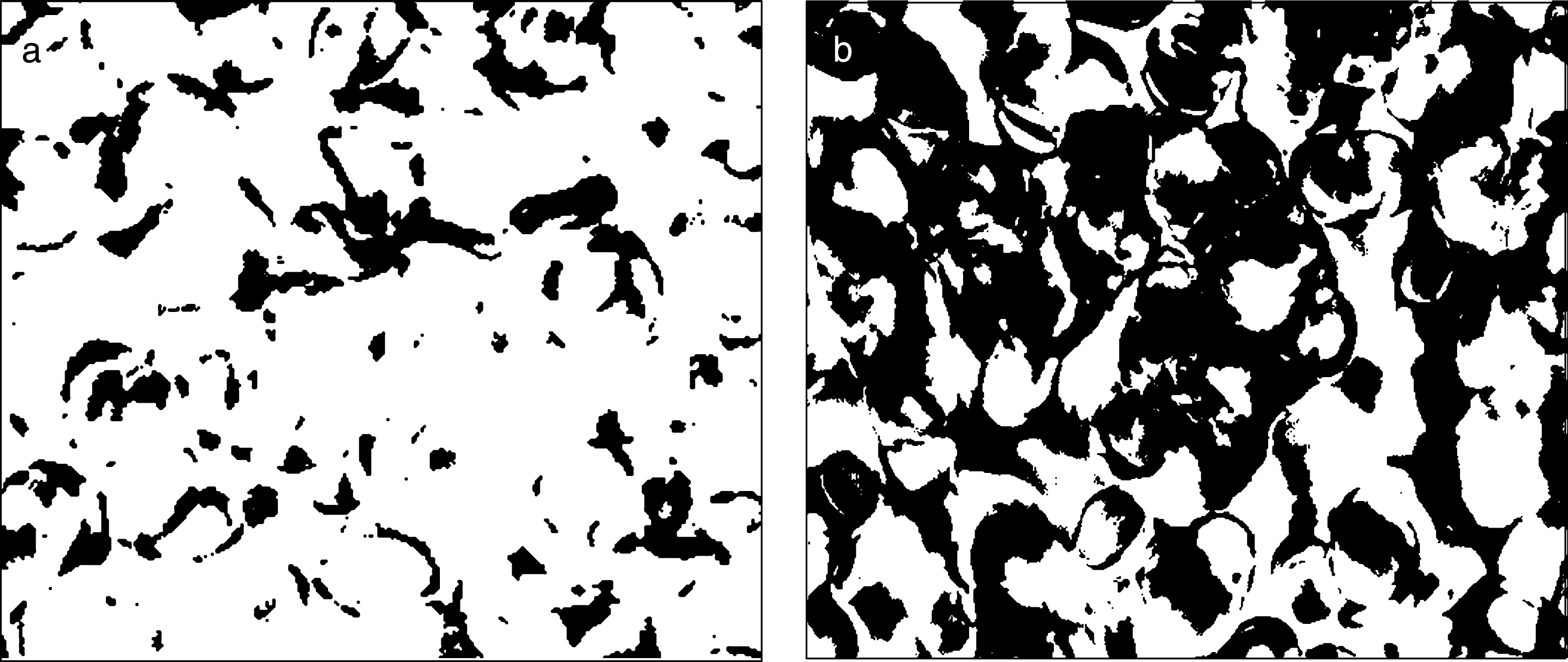 Non-aggregated RBCs, suspended in phosphate buffer saline, at a shear rate of 25 s−1 (a). Aggregated RBCs suspended in a Dextran 2000 solution, at 25 s−1 (b). The images have been converted to binary images (processed with the same parameters); the black structures are edges of cells and aggregates.