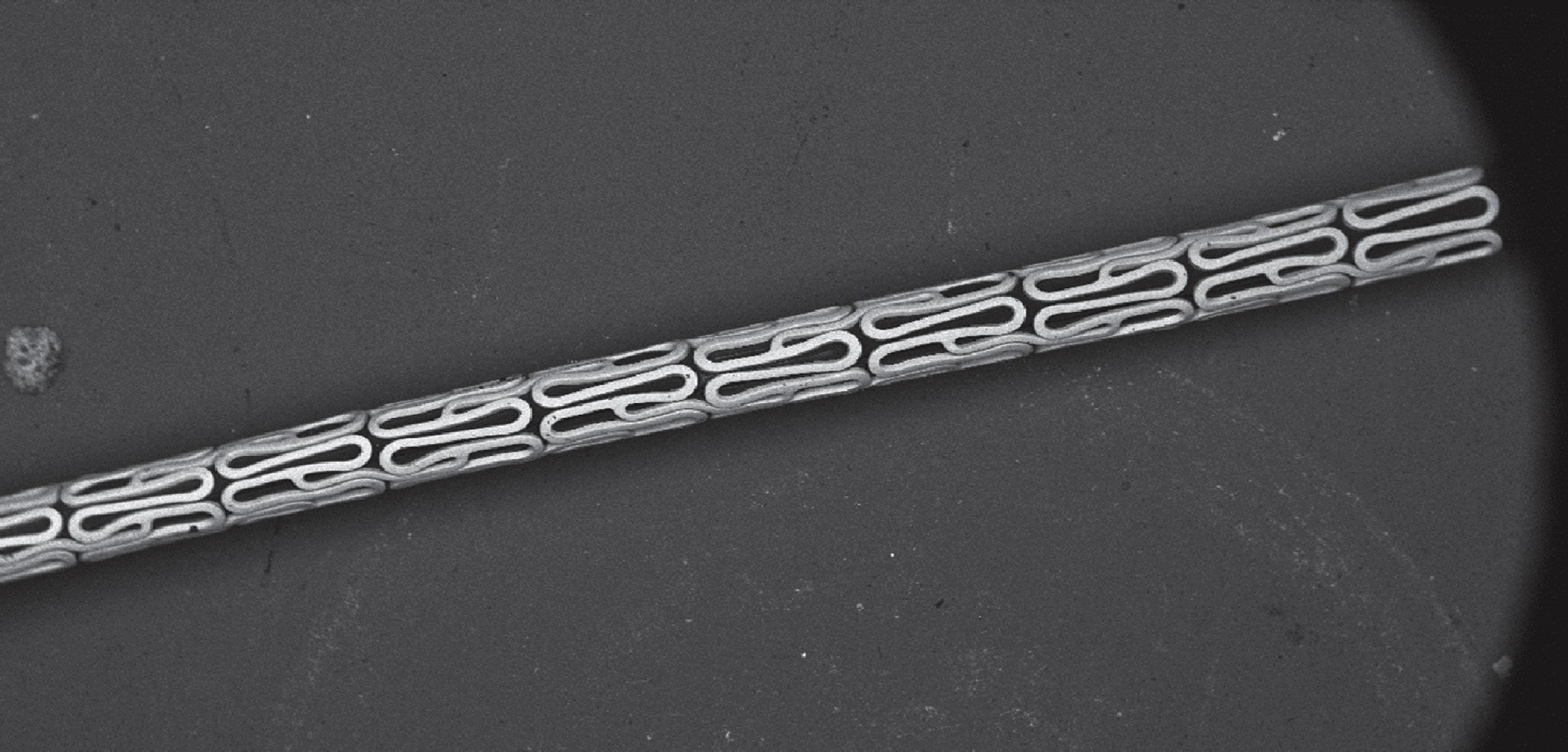 SEM Image of a MultiLinkTM stent prior to dilation (primary magnification 1:9).