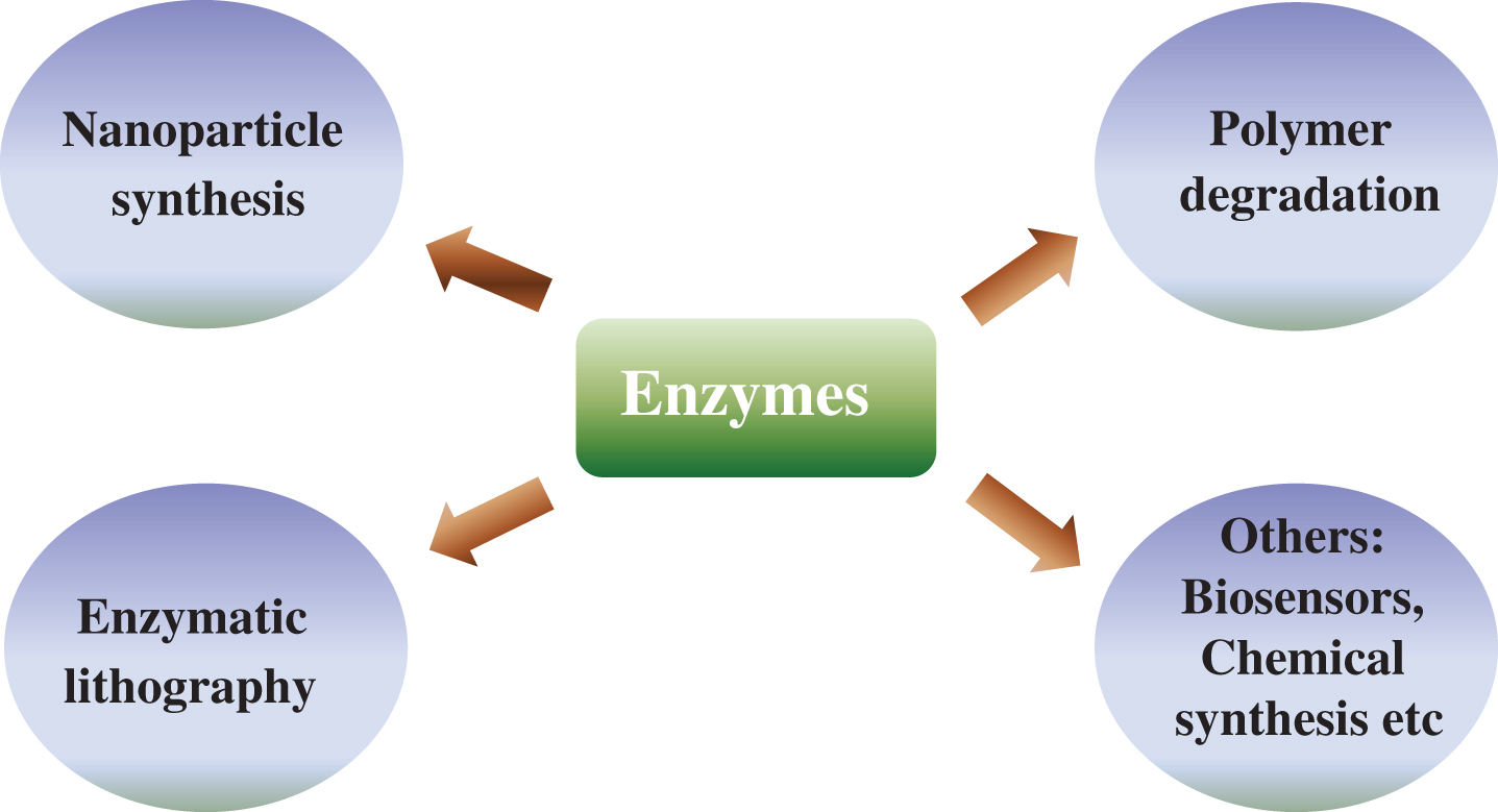 Pictorial representation of various applications of enzymes.