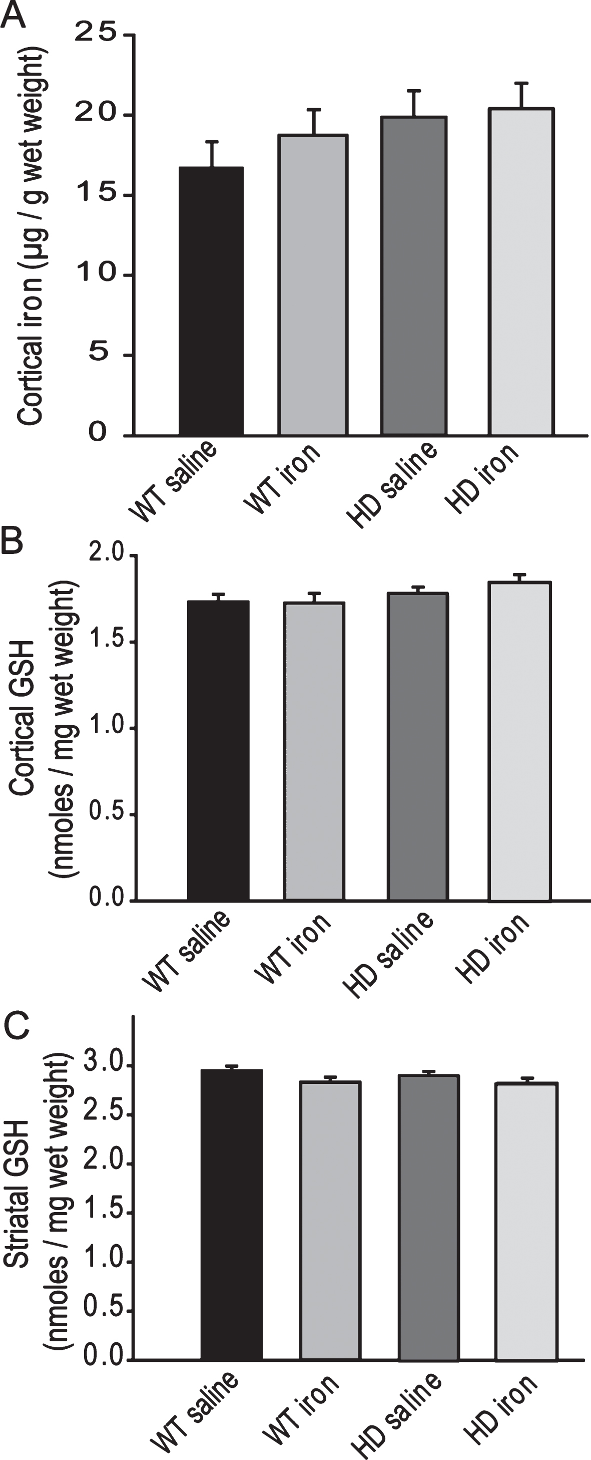 Neonatal iron supplementation does not alter brain iron or glutathione. Mice were supplemented at 10–17 days and sacrificed at 1-year of age. A. Cerebro-cortical iron is not altered by HD or the presence of neonatal iron supplementation. n = 6–7, B-C. Glutathione levels in cerebral cortex (B) and striatum (C) are not altered by HD or neonatal iron supplementation. n = 9–15 for cortex and 9–12 for striatum.