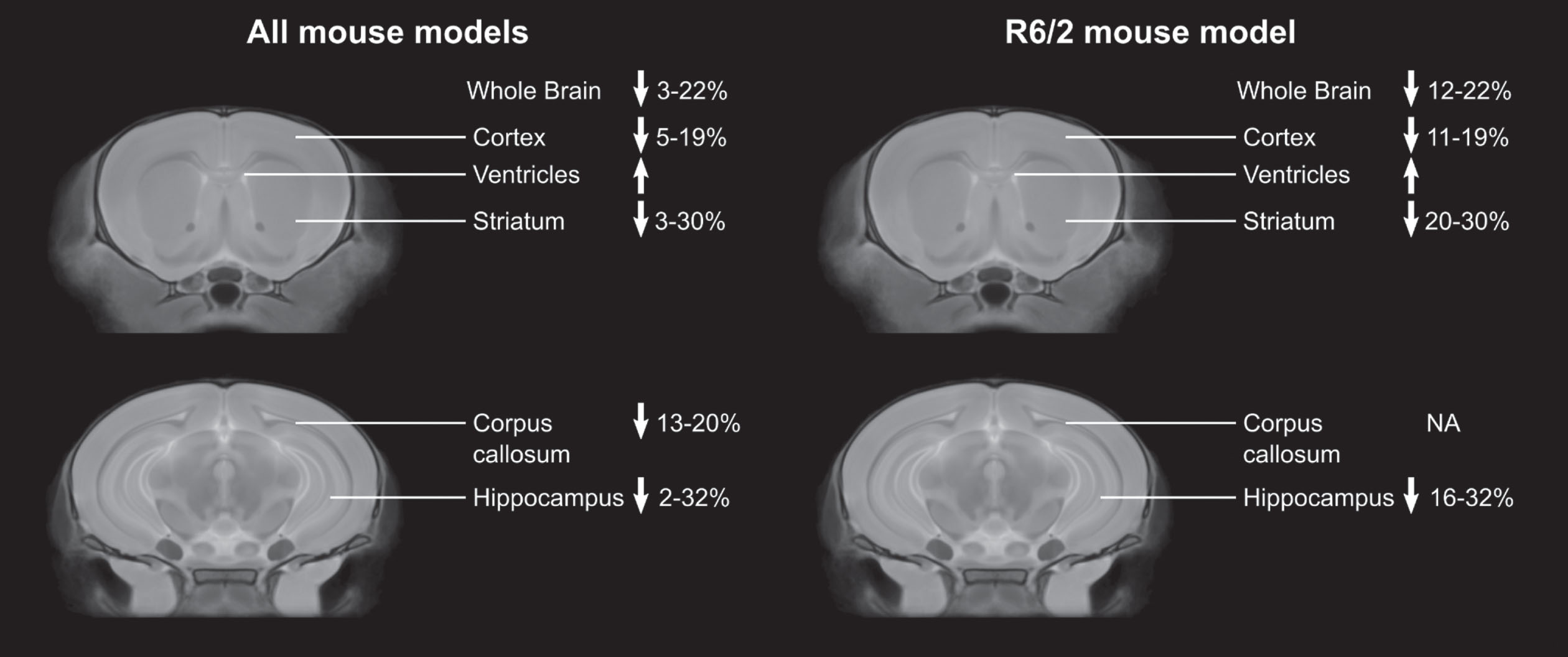 Percent changes in brain regions compared to controls across studies in all mouse models, and in only the R6/2 mouse model. Only data from articles that provided percent differences or the absolute structure volumes was included.