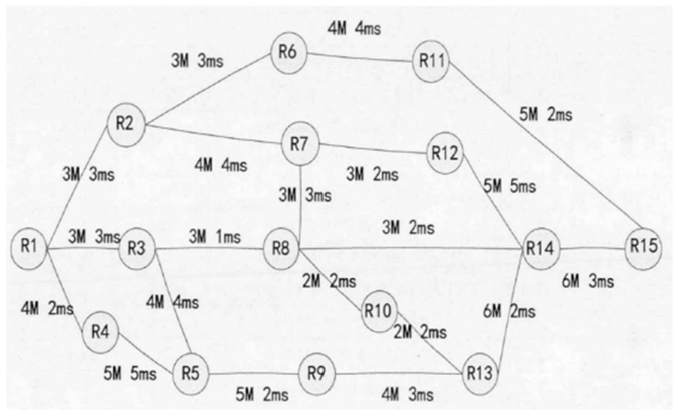 Schematic diagram of the experimental network topology.