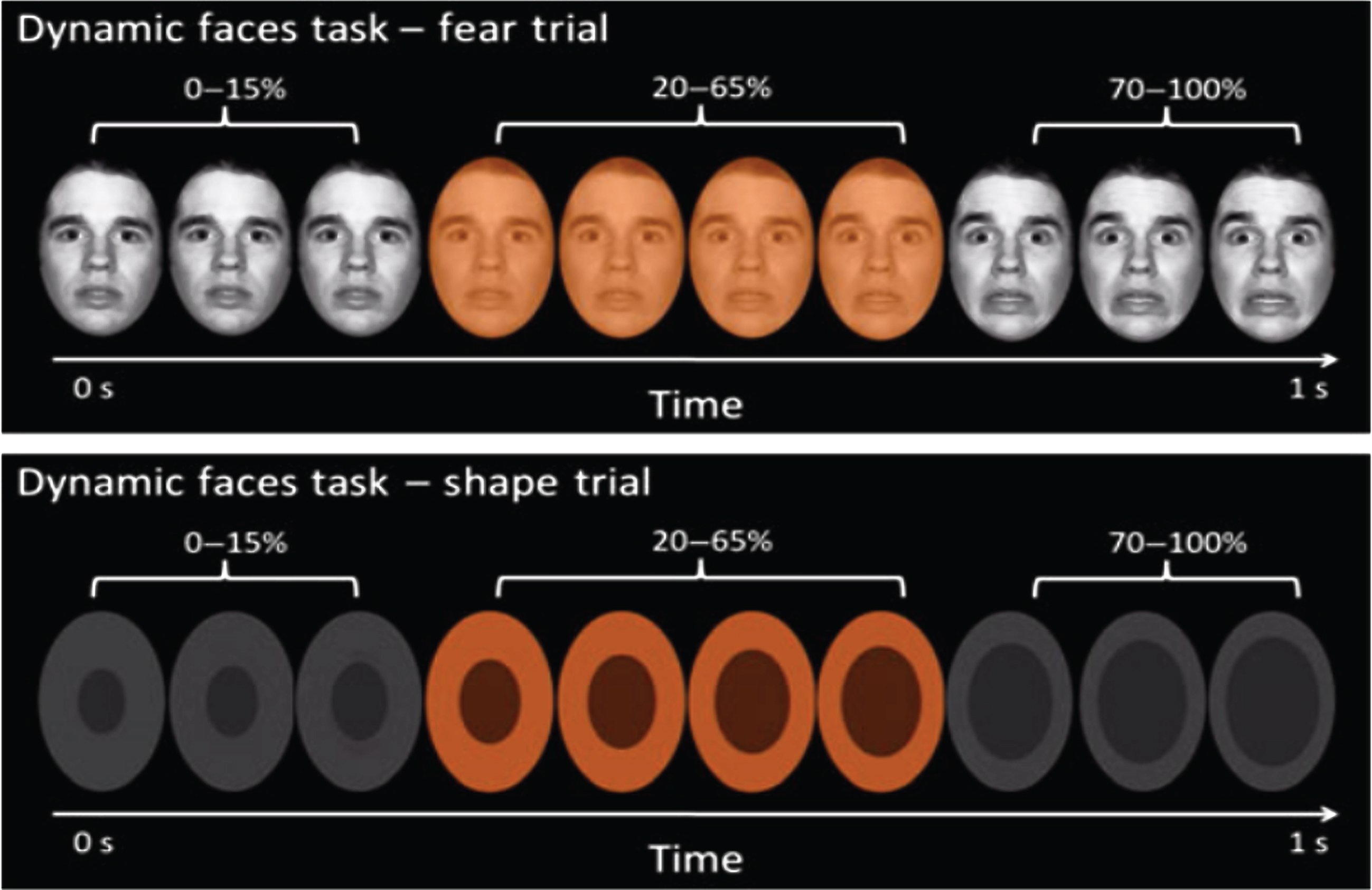 The top panel presents a fear trial of the dynamic emotional faces task. Over a one-sec duration, the participants viewed a movie of a face that changed in 5% increments from neutral (0% emotion) to a happy, sad, angry, or fearful (100% emotion) face. The bottom panel represents the changing shape condition, which was used as the baseline condition. In both cases, participants were asked to identify the color flash presented in the middle of the dynamic change.