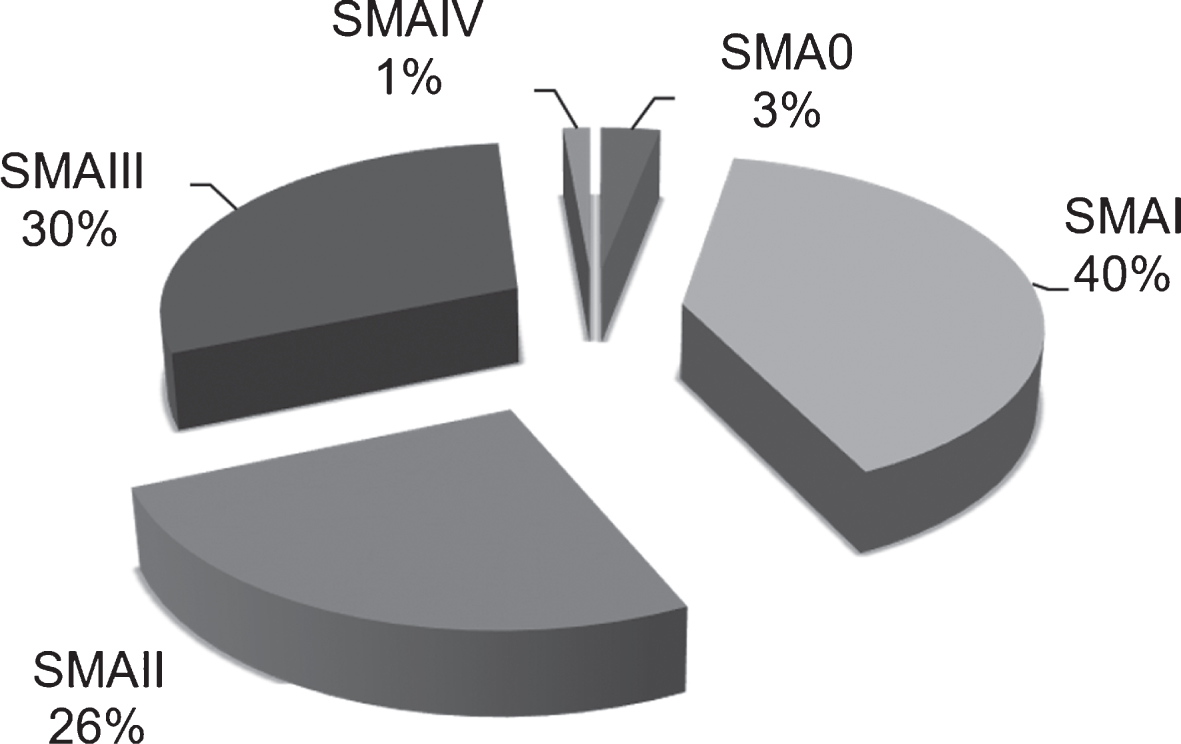 Distribution of SMA types included in the present survey.