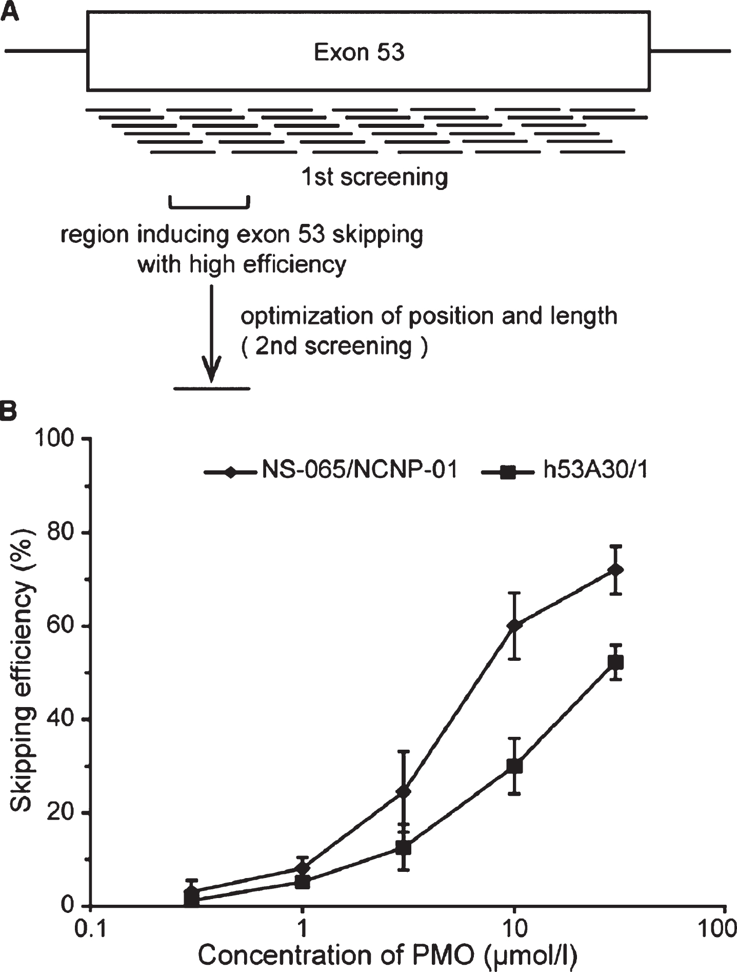 Lead candidate selection for exon 53 exon skipping. Panel A: Shown is a schematic of the 38 oligonucleotides tested for strength in blocking exon 53 splicing, and the experimental approach leading to lead compound selection (NS-065/NCNP-01; viltolarsen). Panel B: Dose-response analyses shows NS-065/NCNP-01 (viltolarsen) to achieve ∼70% exon skipping efficiency in cell cultures. From Watanabe et al. 2018 [62].