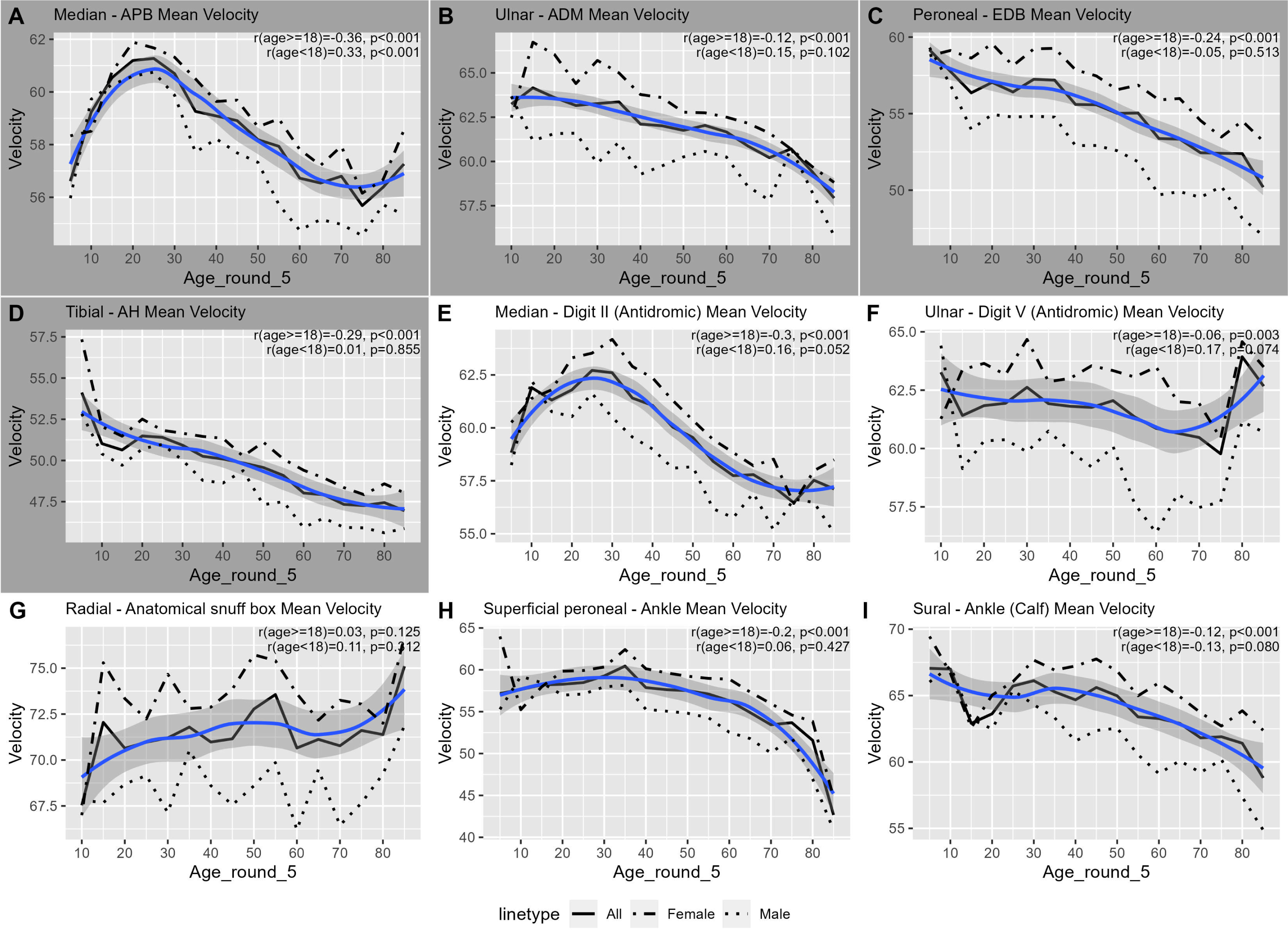 Changes in velocity with age for common nerves with correlation values. The graph highlights the velocity dynamics for individual nerves in both adult males and females. The mean velocity was calculated for each age group. The age group was created by rounding age to the nearest 5 years. The blue line is a Loess-smoothed curve for the trimmed mean (1%). The gray area around the smooth line represents the 95% confidence interval. The dashed line represents the females’ trimmed mean values, and the dotted line represents the mates’ trimmed mean values. Age groups with fewer than five records were omitted (age groups 0, 90, and 5 in some cases). Supplementary Table 3 lists the number of records in each age group.