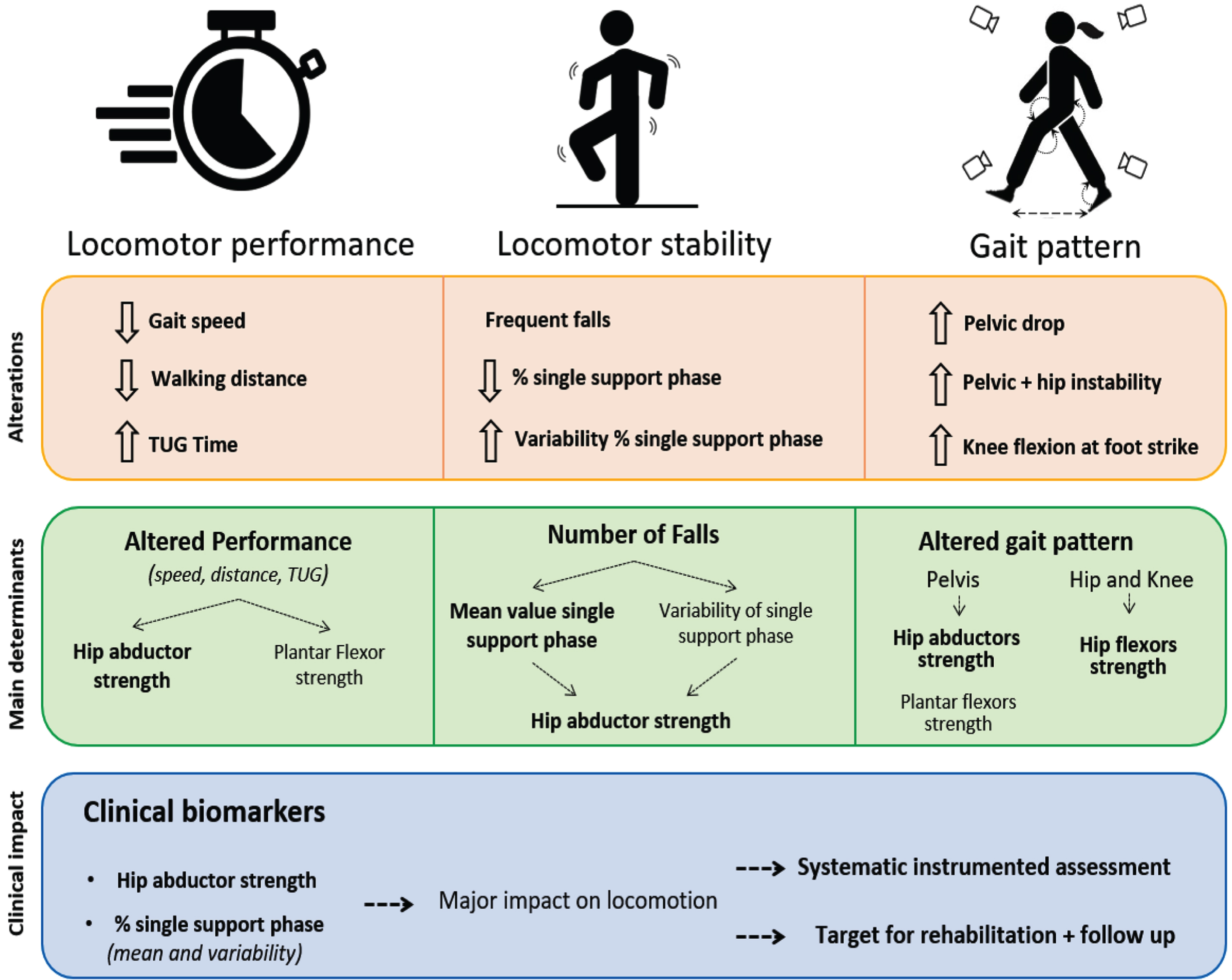 Alterations, main determinants and recommendations for management in adults with LOPD.