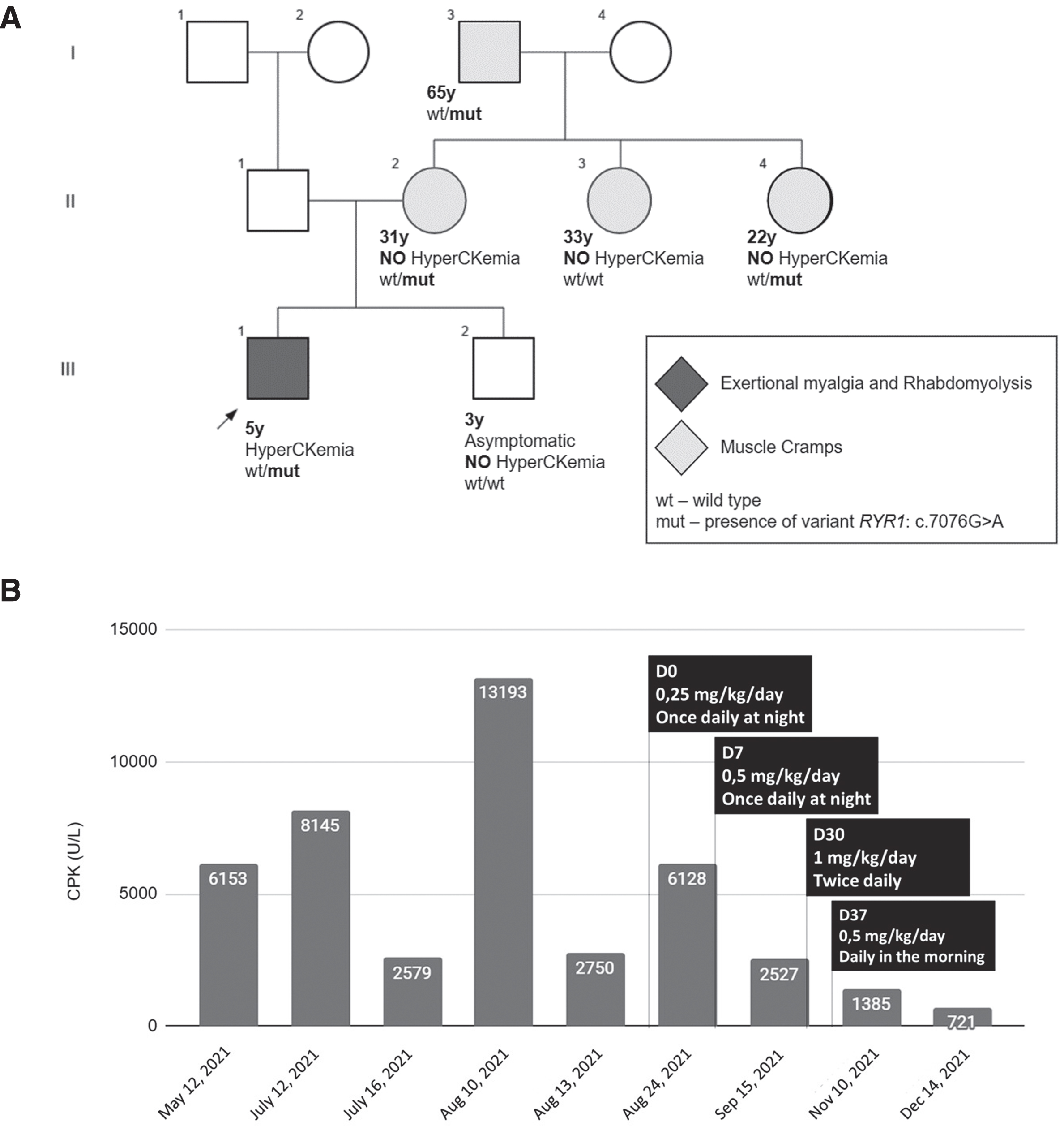 –A: Pedigree showing segregation of the variant with the phenotype (ERM and/or muscle cramps). Individual II-3 complained of a history of mild muscle cramps, possibly a phenocopy. B: Bar chart showing CPK levels that decreased remarkably after initiating dantrolene therapy. Dantrolene was started at half of the effective dose at night to evaluate potential side effects including dizziness and fatigue. The patient tolerated it well, and the dose and time of administration were adjusted, to maintain the lowest effective dose, which was 0,5 mg/kg/day (= 10 mg of dantrolene), taken during the morning, which was the time when the patient was more active, and achieved a greater decrease in the level of CPK.