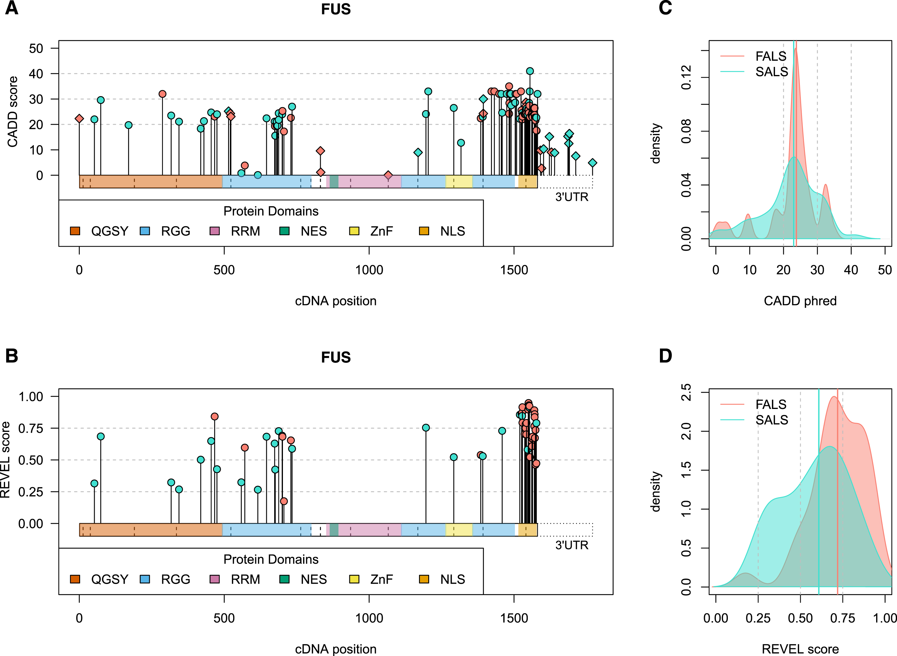 Visual summary of ALS-implicated variants in the FUS gene. Panels A and B) The horizontal bars on the x-axis represents the cDNA sequence of the gene, with variants plotted along the length of the gene according to their cDNA position. CADD phred (A, all variants) and REVEL (B, missense variants) scores are denoted by the height of points on the y-axis. Genomic context is indicated by point shape, as exonic (circle) and intronic (diamond), with the latter plotted at the exon bounds as indicated by vertical dashed lines. The 3’ untranslated region (UTR) is specifically plotted for FUS due to the large number of variants that lie in this region. Panels C and D) Density plots of CADD phred (C, all variants) and REVEL (D, missense variants) reported in FALS (red) versus SALS exclusively (blue). Bolded vertical lines indicate group median score, while grey dashed lines denote standard threshold bins. Visual summaries of remaining ALS-associated genes can be found in Supplementary Data file 3. QGSY, (glutamine-glycine-serine-threonine)-rich region; RGG, (arginine-glycine-glycine)-rich motif; RRM, RNA recognition motif; NES, nuclear export signal; ZnF, zinc finger domain; NLS, nuclear localisation signal.