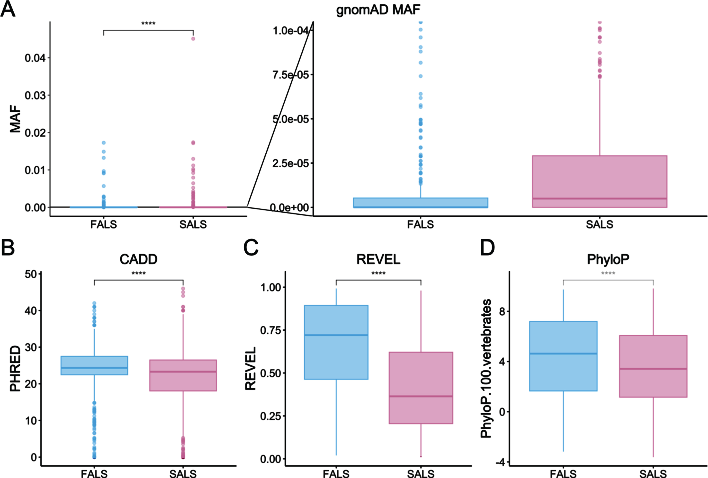 Comparison of variant characteristics between ALS-implicated variants reported in FALS or exclusively in SALS. A) gnomAD allele frequency, including a zoomed-in view to better represent low frequency variants (p = 3.8e-16), B) CADD phred (p = 7.4e-6), C) REVEL (p = 2.2e-16) and D) PhyloP scores (p = 2.9e-5). Statistical testing was performed using Wilcoxon signed-rank testing.