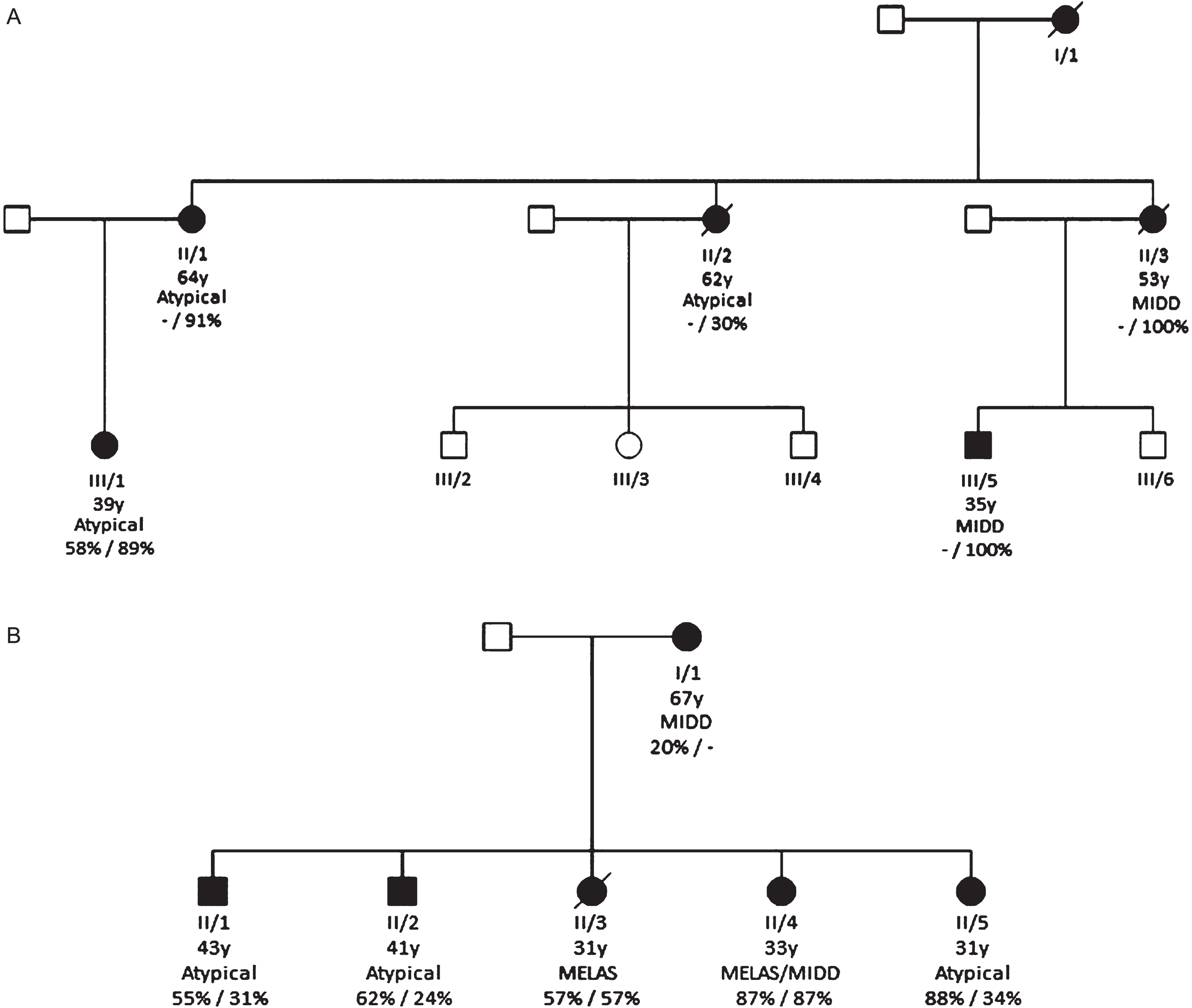 Pedigrees A (Fig. 3a) and B (Fig. 3b) indicating affected individuals, phenotype, age and urine and corrected blood heteroplasmy levels at time of data collection.