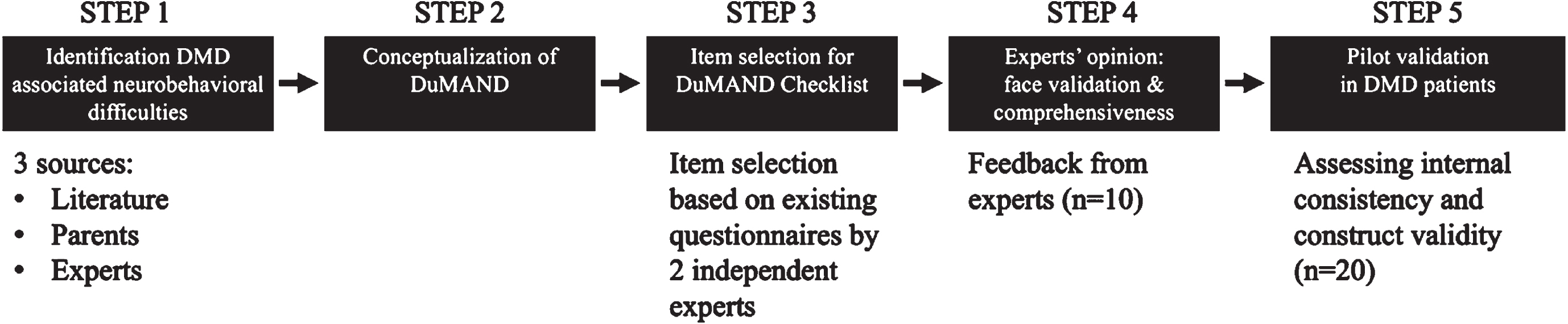Overview of different steps for the conceptualization of DuMAND and the development of the DuMAND Checklist.