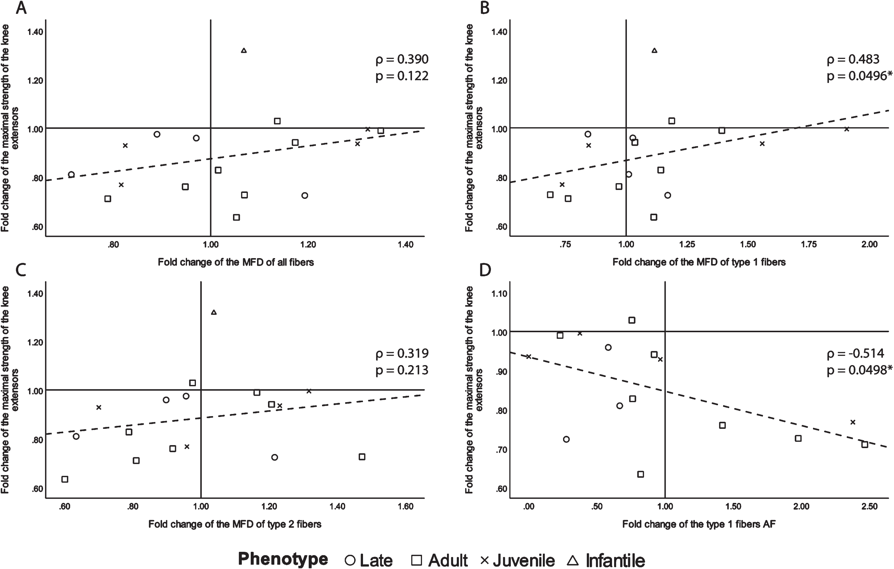 Scatter plots of the fold change of the maximal strength of the knee extensors of the biopsied leg with fiber size and abnormal size indicators with ρ> 0.250. A- fold change of all fibers MFD, B- fold change of type 1 fiber MFD, C- fold change of type 2 fibers MFD and D- fold change of type 1 fibers AF. ρ: Spearman’s rank correlation coefficient, p: p-value, MFD: minimal Feret’s diameter, AF: atrophy factor, *p-value <0.050.