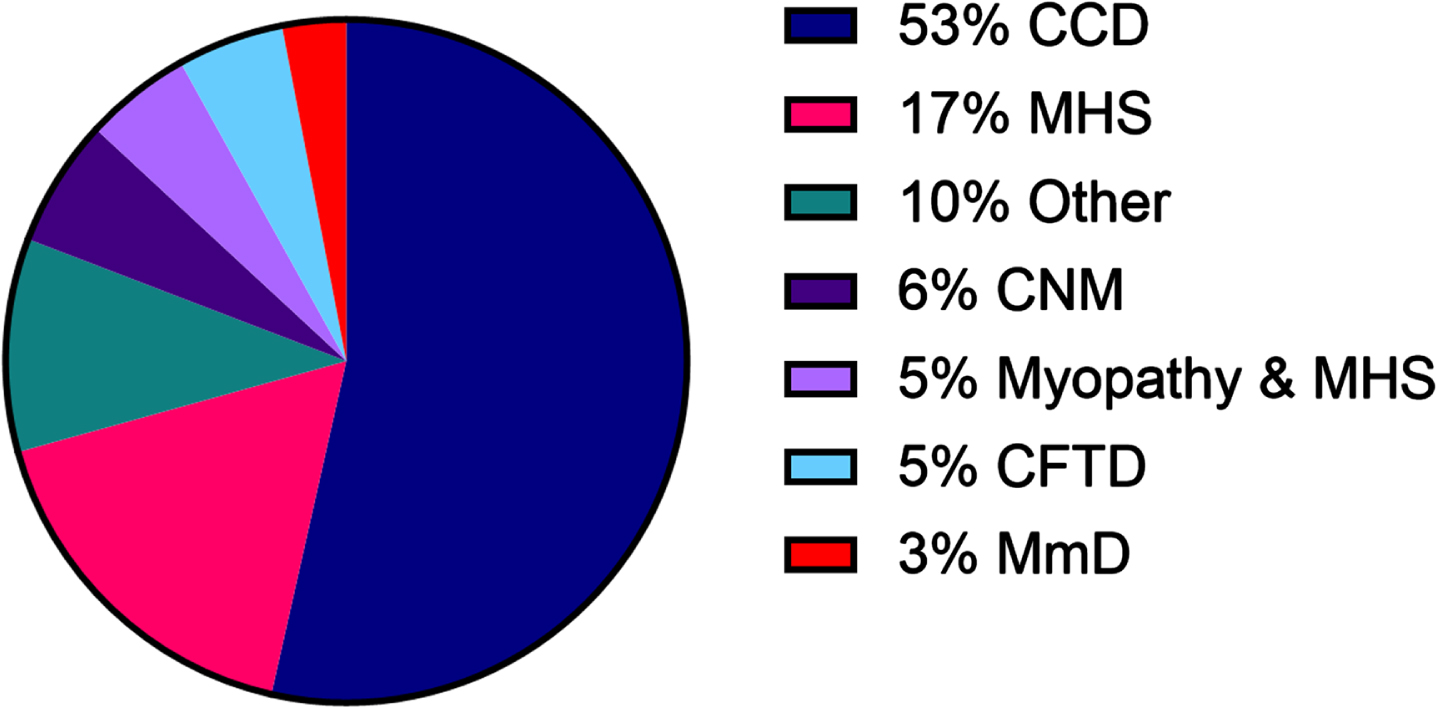 The genotypes of the included patients (N = 173). CCD: central core disease; MHS: malignant hyperthermia susceptibility; Other: unsure, unspecified or new variant; CNM: centronuclear myopathy; CFTD: congenital fibre type disproportion myopathy; MmD: multi-mini core disease. N = 173.