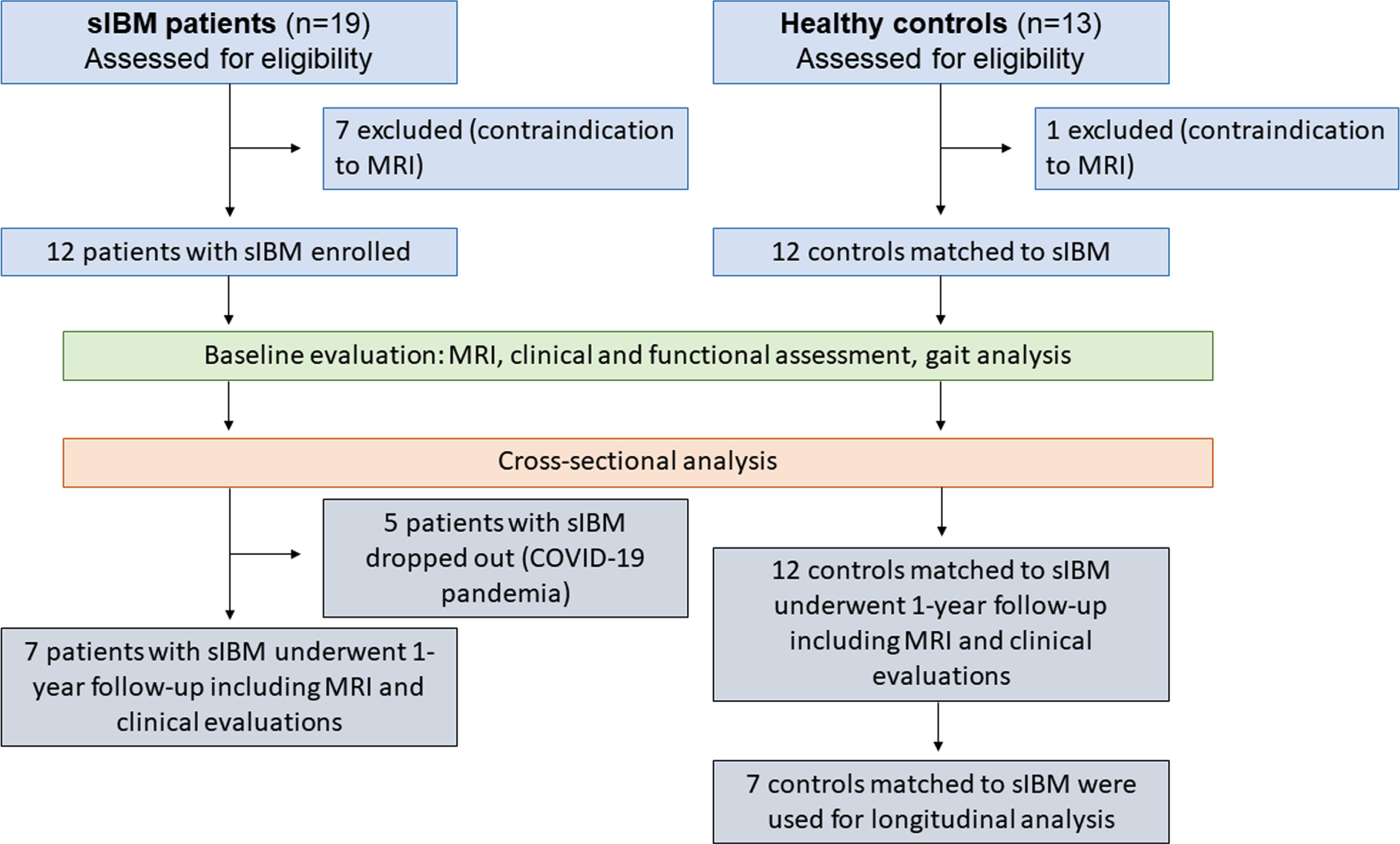 Flowchart of study procedure.