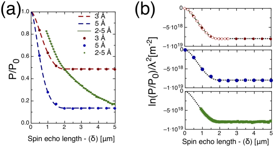 In (a), the simulated polarisations for the two monochromatic neutron wavelengths, as indicated in the legend, are depicted alongside the results from the time-of-flight simulation. Meanwhile, (b) shows the normalised functions, accounting for wavelength and sample thickness effects. These corrected functions are compared with the calculated forms derived from equation (3). Note that the error bars are smaller than the points.