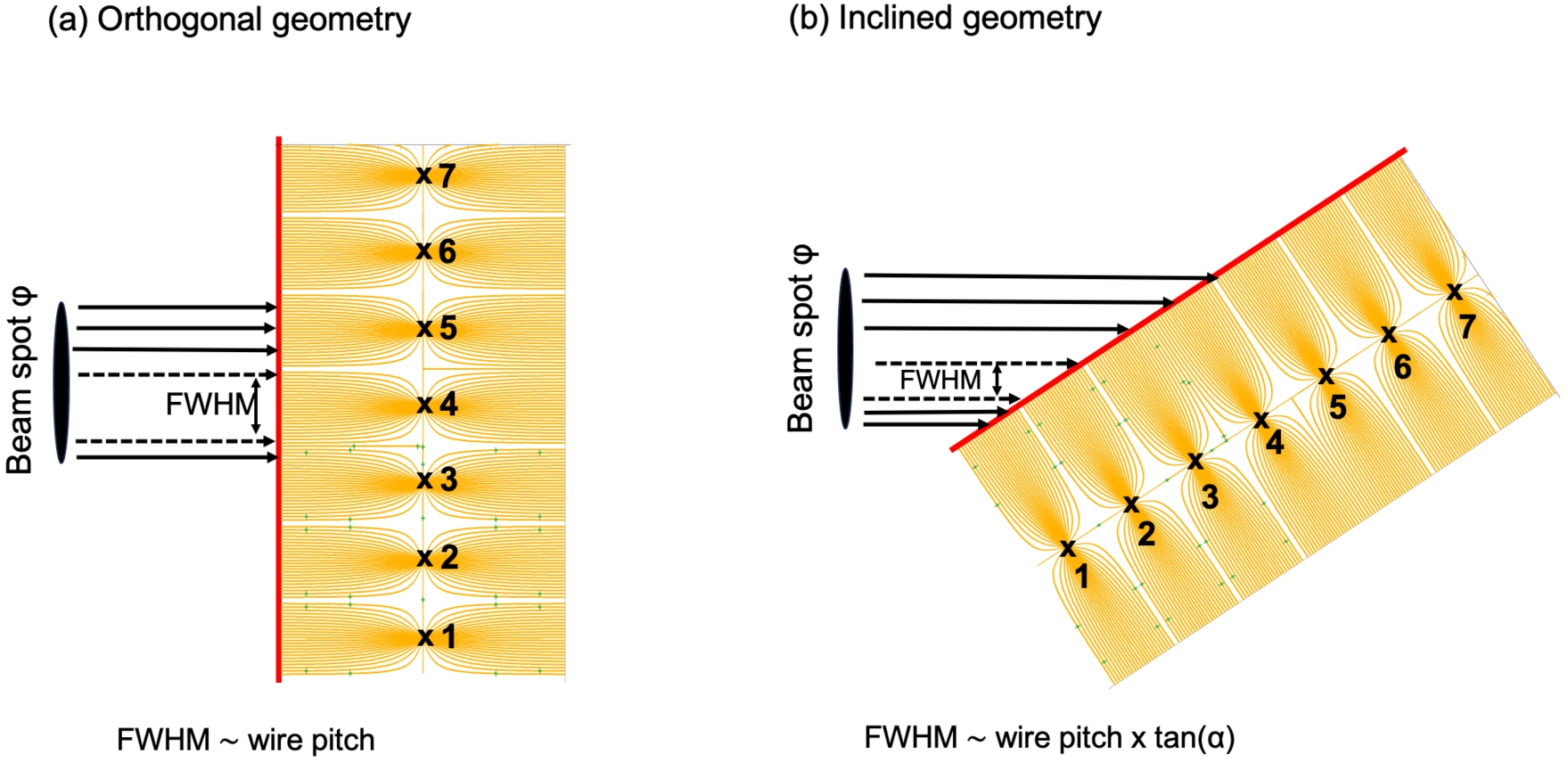 Cartoon showing the effects on spatial resolution and rate capability for a beam of neutrons with a spot ϕ impinging on a gas counter containing only one converter layer, drawn in red, and operating in (a) orthogonal geometry and (b) inclined geometry. The crosses mark the anode wires located halfway between two flat cathodes. The wires are numbered from 1 to 7. The orange lines starting from the anode wires represent the electric field lines that enable the collection of the ionization electrons generated by the reaction products escaping the converter layer. The wire pitch and the distance between the coated cathode and the wire grid are the same in both cases.