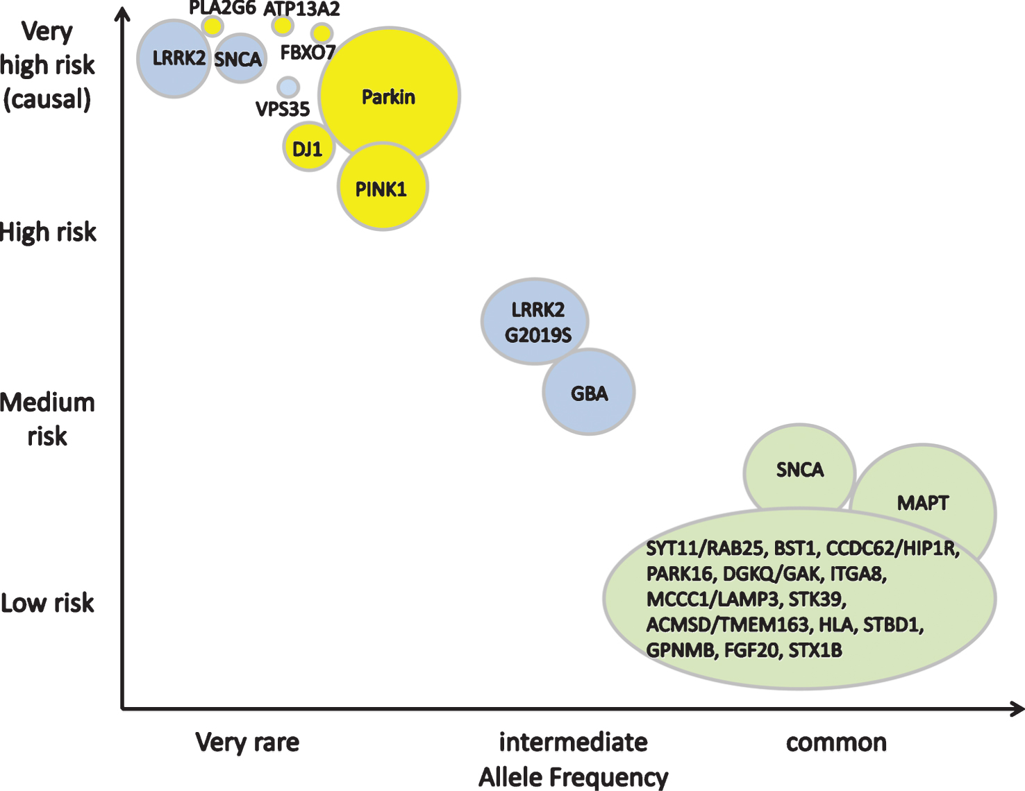 Genetic architecture of Parkinson’s disease. Continuum of variants of different effect strengths and allele frequencies. The size of the bubbles roughly corresponds to population allele frequencies. Colors symbolize modes of inheritance: dominant (blue), recessive (yellow), risk loci (green). Modified from [35] and [36].