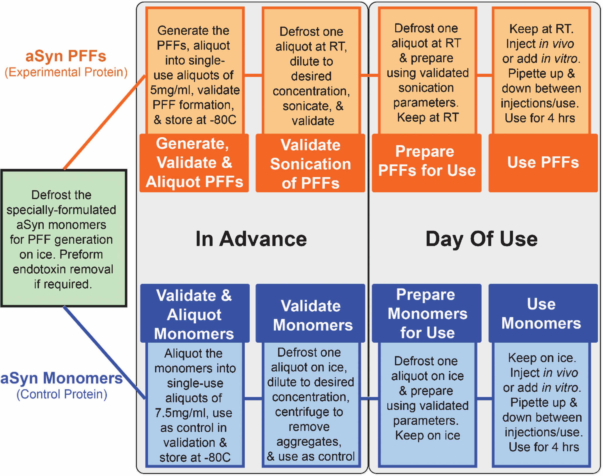 Schematic depiction of the workflow for generating, validating, and using alpha-synuclein pre-formed fibrils (aSyn PFFs) as the experimental protein and aSyn monomers as the control protein. When using aSyn PFFs as the experimental protein and aSyn monomers as the control, the first step for preparation and use of both samples is to defrost the specially-formulated aSyn monomers for PFF generation on ice and to preform endotoxin cleanup, if required (Green box). Once thawed, the sample should be divided in two, with half designated for use as the monomeric control protein (Blue boxes) and the other half destined for generation of PFFs (Orange boxes). Protocols for generating aSyn PFFs are located in the Supplementary Material, Fig. 1, and the cited literature. After the PFFs have been generated, aliquot into single use tubes of 5 mg/ml and store at –80°C for long-term storage or room temperature for short term storage. Use one aliquot to validate proper fibril formation (see Fig. 5A–C). Once fibril formation has been confirmed, sonication parameters must be validated. For this, use one aliquot (if stored at –80°C, defrost and keep at room temperature), dilute to the desired working concentration, and sonicate. After sonication, the fibril size and pathogenicity must be validated (see Fig. 5D–G). Similarly, aSyn monomers for the control samples should be aliquotted into single-use tubes at ≤7.5 mg/ml, validated alongside the aSyn PFFs as the control, and stored at –80°C. These validation steps should be performed in advance of use in order to confirm proper sample composition and to verify sonication parameters. On the day of use, defrost one aliquot of the aSyn PFFS (thaw at room temperature if frozen) and aSyn monomers (thaw on ice). Prepare using the validated dilutions and—in the case of the aSyn PFFs—sonication parameters tested previously. At this step it may be wise to again confirm sample composition via electron microscopy before use. Keep the aSyn PFFs at room temperature and the aSyn monomers on ice during use. Mix solutions between injections to ensure the larger aggregates do not pellet and lead to sample heterogeneity. A sample can be used for four hours before it should be replaced by a new sample. aSyn, alpha-synuclein; PFF, pre-formed fibrils; RT, room temperature; EM, electron microscopy; hrs, hours.