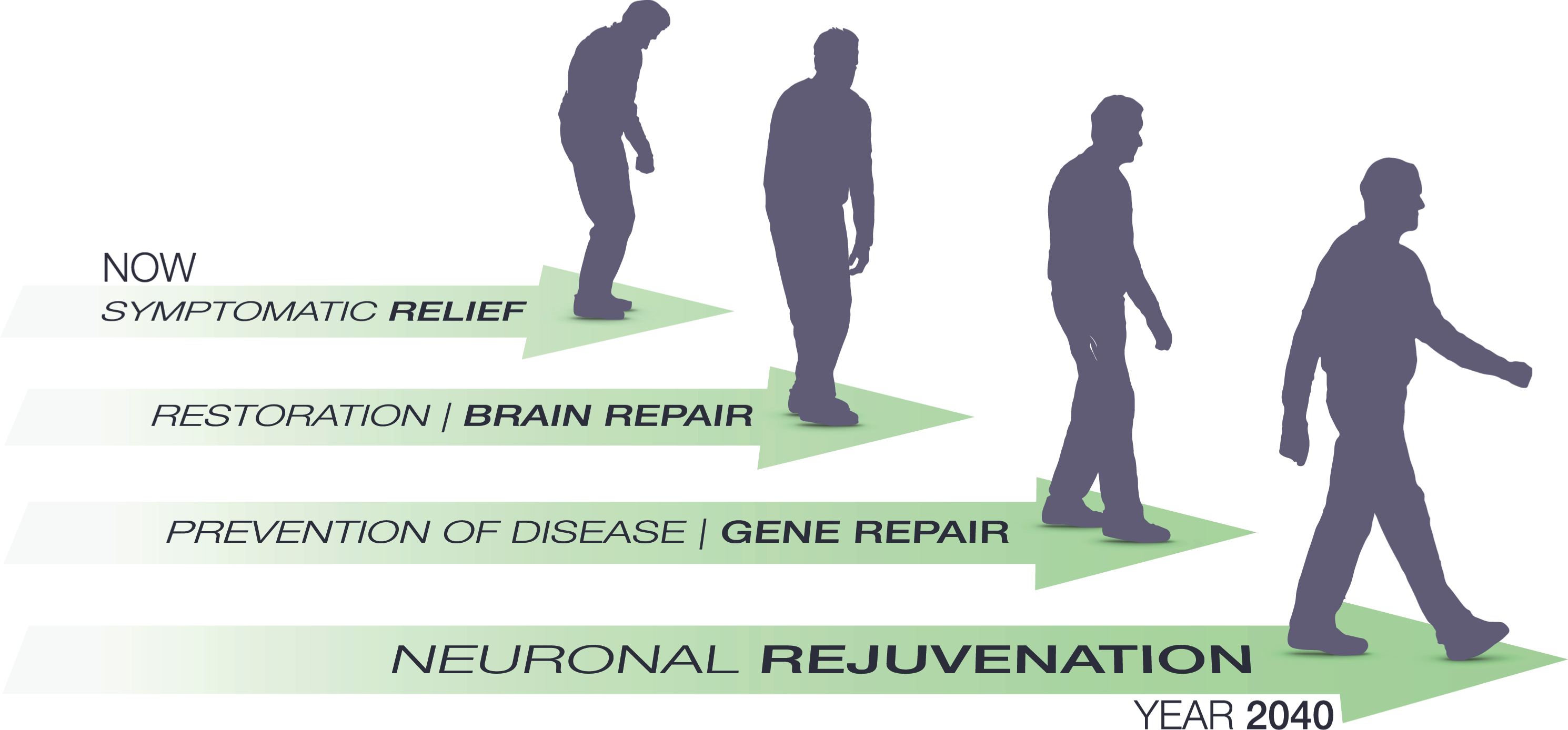 Path and milestones predicted for gene therapy in Parkinson’s disease over the next 20 years. Clinical gene therapy is currently aiming for symptomatic relief as its primary end point. This will gradually shift to brain repair when it is merged will cell therapy or in vivo re-programming for circuit repair. Over the next decade we hope for a significant increase in mechanistic insights into the idiopathic Parkinson’s disease which will then pave the way for gene therapy to move into prevention of disease. As a final step we will see these measures being refined and validated to warrant their applications in normal healthy aging. Through prevention and reversal of detrimental processes in the brain such as DNA damage, protein accumulation and oxidative stress we may see the first attempts towards brain rejuvenation using gene therapy before the year 2040. It should be noted that most patients will receive a combination of these therapies and the most successful therapies will most likely target two or more of the modalities, e.g., both symptomatic and restorative.