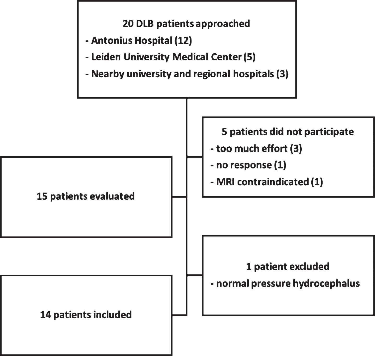 Flowchart of inclusion for DLB patients.