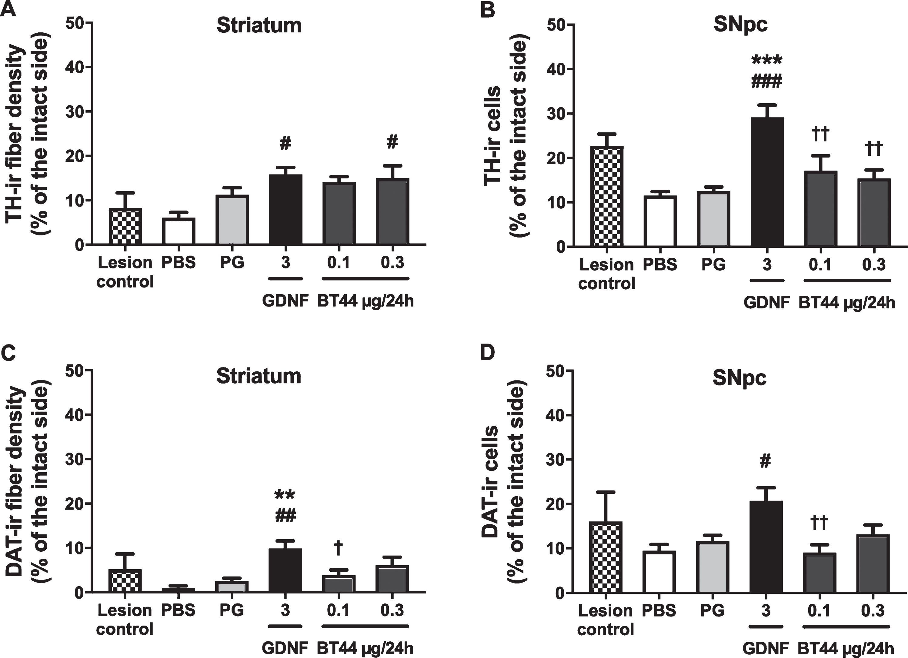 Effect of BT44 and GDNF on the density of TH and DAT-immunoreactive fibers in the striatum and the number of TH and DAT-immunoreactive cells in the SNpc in 6-OHDA lesioned rats. A) Densitometric quantification of TH-ir fibers in the dorsal striatum. B) Number of TH-ir cells in the SNpc. C) Densitometric quantification of DAT-ir fibers in the dorsal striatum. D) Number of DAT-ir cells in the SNpc. All values are presented as percentage of the intact side. PBS, phosphate buffered saline; PG, propylene glycol. **p < 0.01, ***p < 0.001 vs. PG; #p < 0.05, # #p < 0.01, # # #p < 0.001 vs. PBS; †p < 0.05, ††p < 0.01 vs. GDNF, Tukey HSD after one-way ANOVA. Mean±SEM, lesion control group n = 4, other groups n = 8–11.