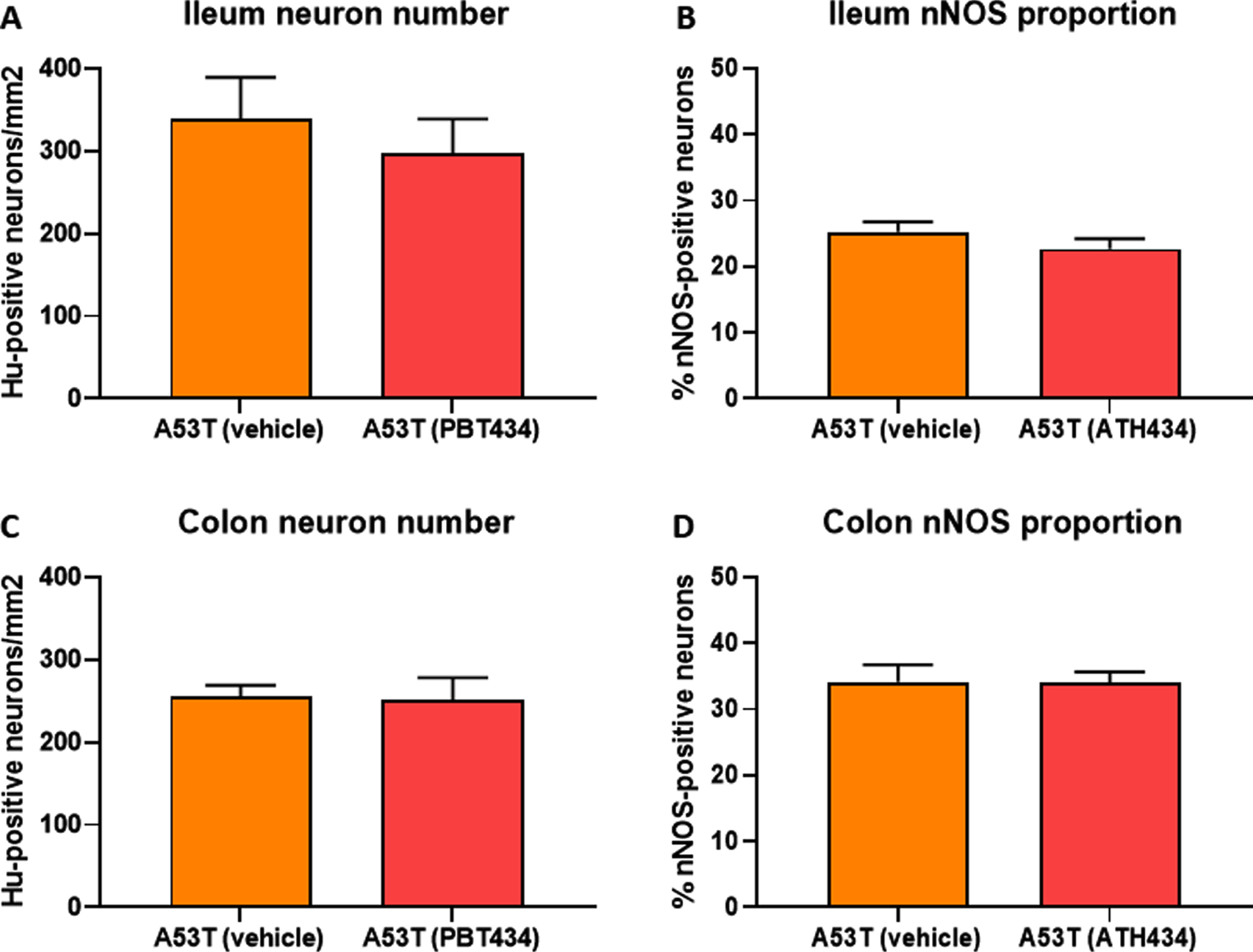 ATH434 administered prior to the onset of GI dysfunction (at ∼12 months of age, continuing to 15 months) had no effect on the number of Hu+ neurons or the proportion of nNOS-positive neurons. Treatment with ATH434 had no effect on the number of Hu-positive neurons in either the ileum (A) or the colon (B), nor on the proportion of nNOS-positive neurons in the ileum (C) or the colon (D). Data were analyzed by one-way ANOVA followed by Tukey’s multiple comparison post hoc test. Data represent the mean±SEM (100–300 neurons per preparation were counted for neuron number and nNOS quantitation. All studies used 5–6 wholemount preparations per cohort).