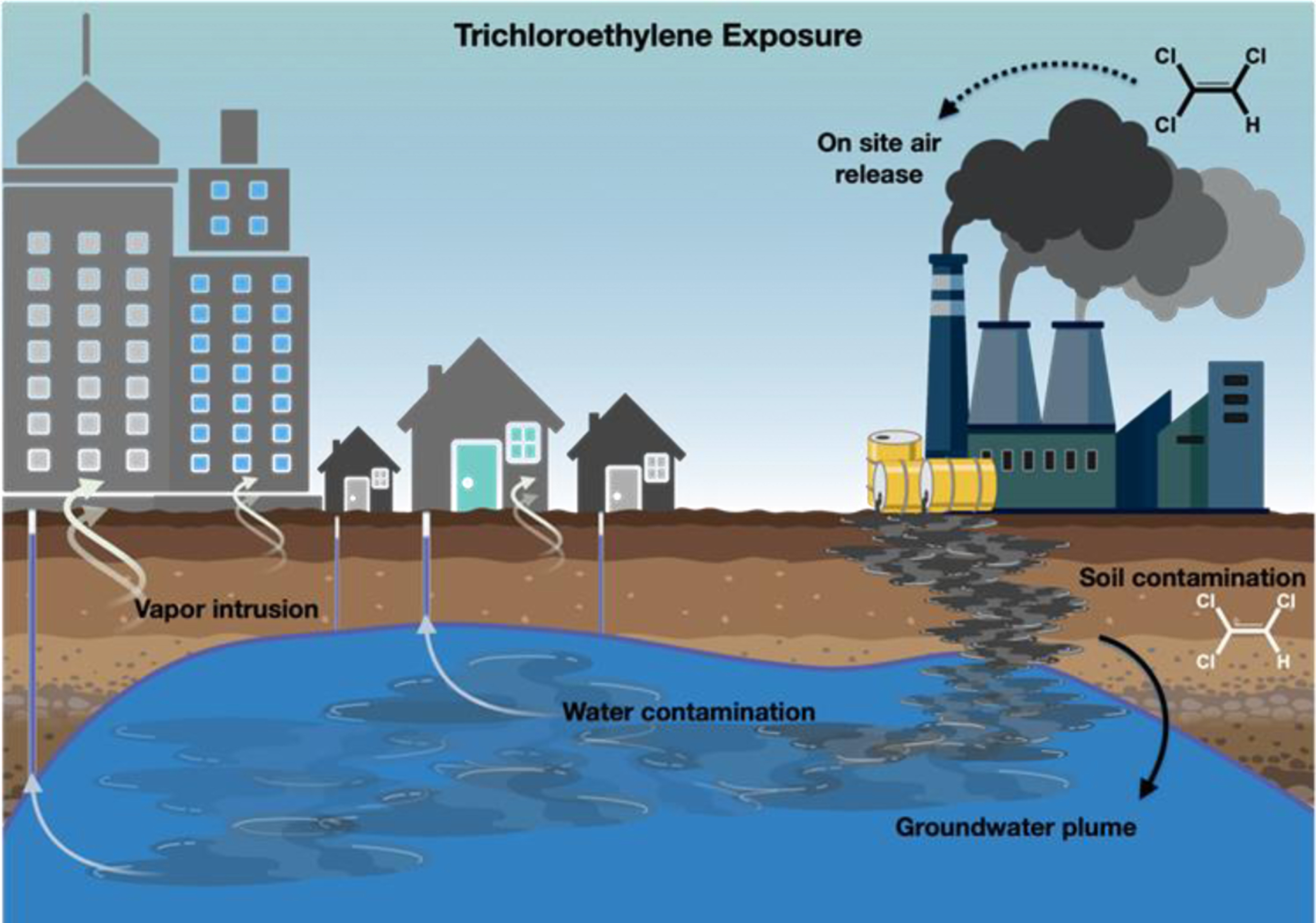 Possible modes of exposure to trichloroethylene in the environment.