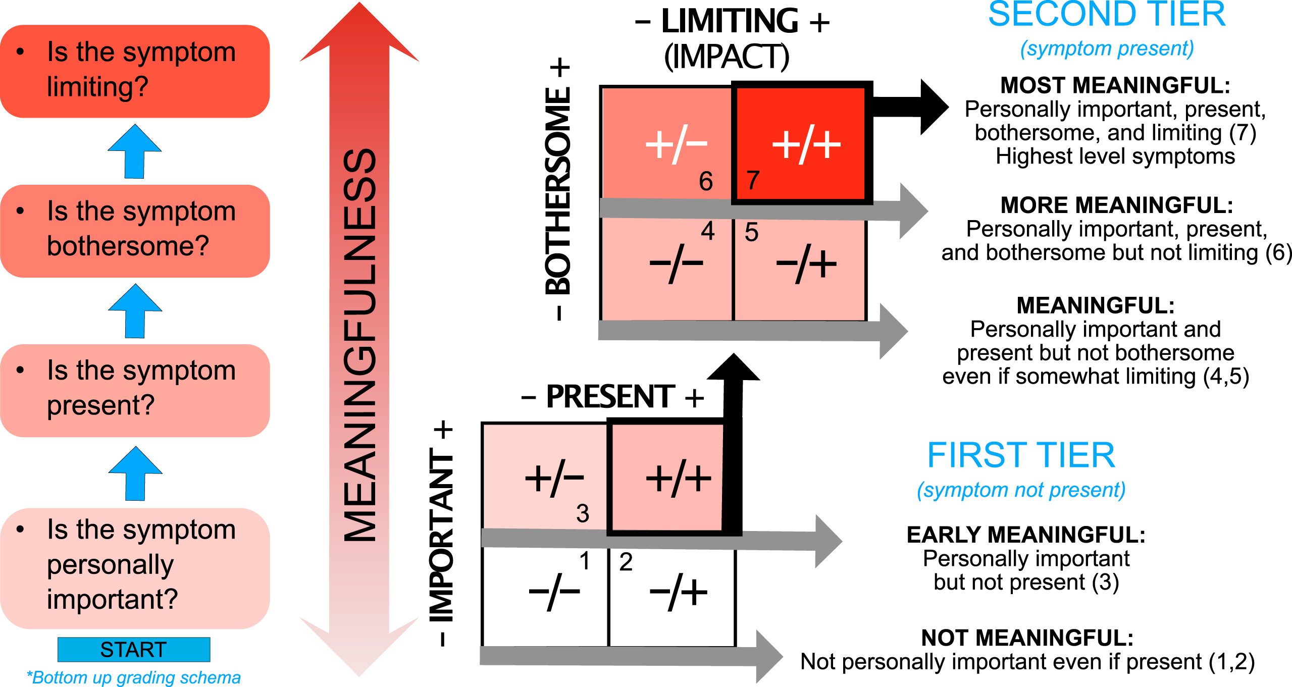 Conceptual model of meaningful symptoms and stepwise classification schema.