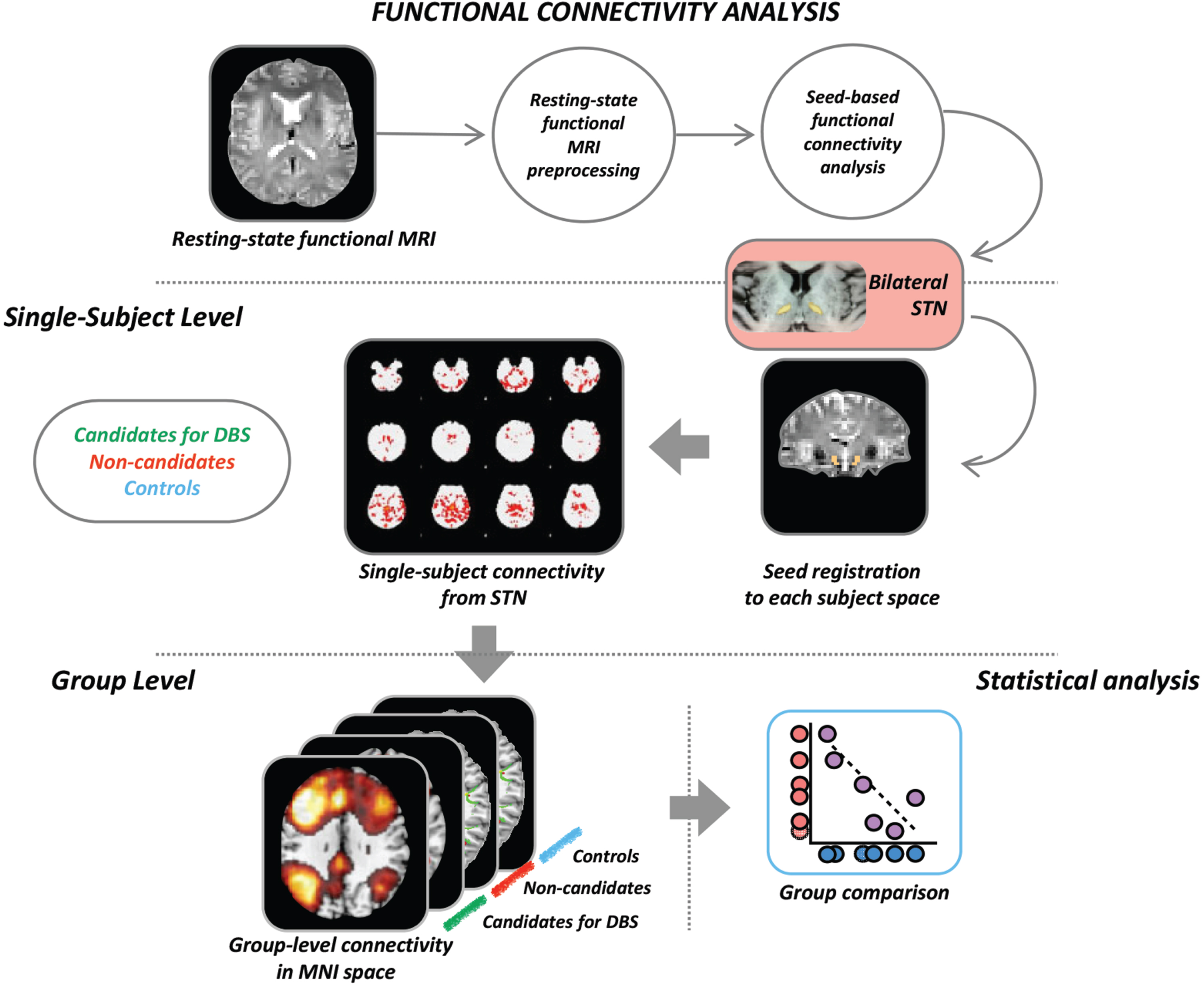 Schematic representation of the procedure for the seed-based resting state functional connectivity. Each seed of interest (in the figure an example is provided for the bilateral STN) was defined in MNI space and moved to each subject’s native space. From each seed, mean time-series were extracted and subject-level maps of all positively and negatively predicted voxels for each regressor were obtained. Subject-level maps were finally registered to the MNI standard template and were ready for the statistical analysis. Here we provide the illustrative example of analysis: seed-based functional connectivity was investigated in each patient group (candidates or not for DBS) versus the matched group of controls using a general linear model which includes the group as independent factor. DBS, candidates for deep brain stimulation; MRI, magnetic resonance imaging; STN, subthalamic nucleus.