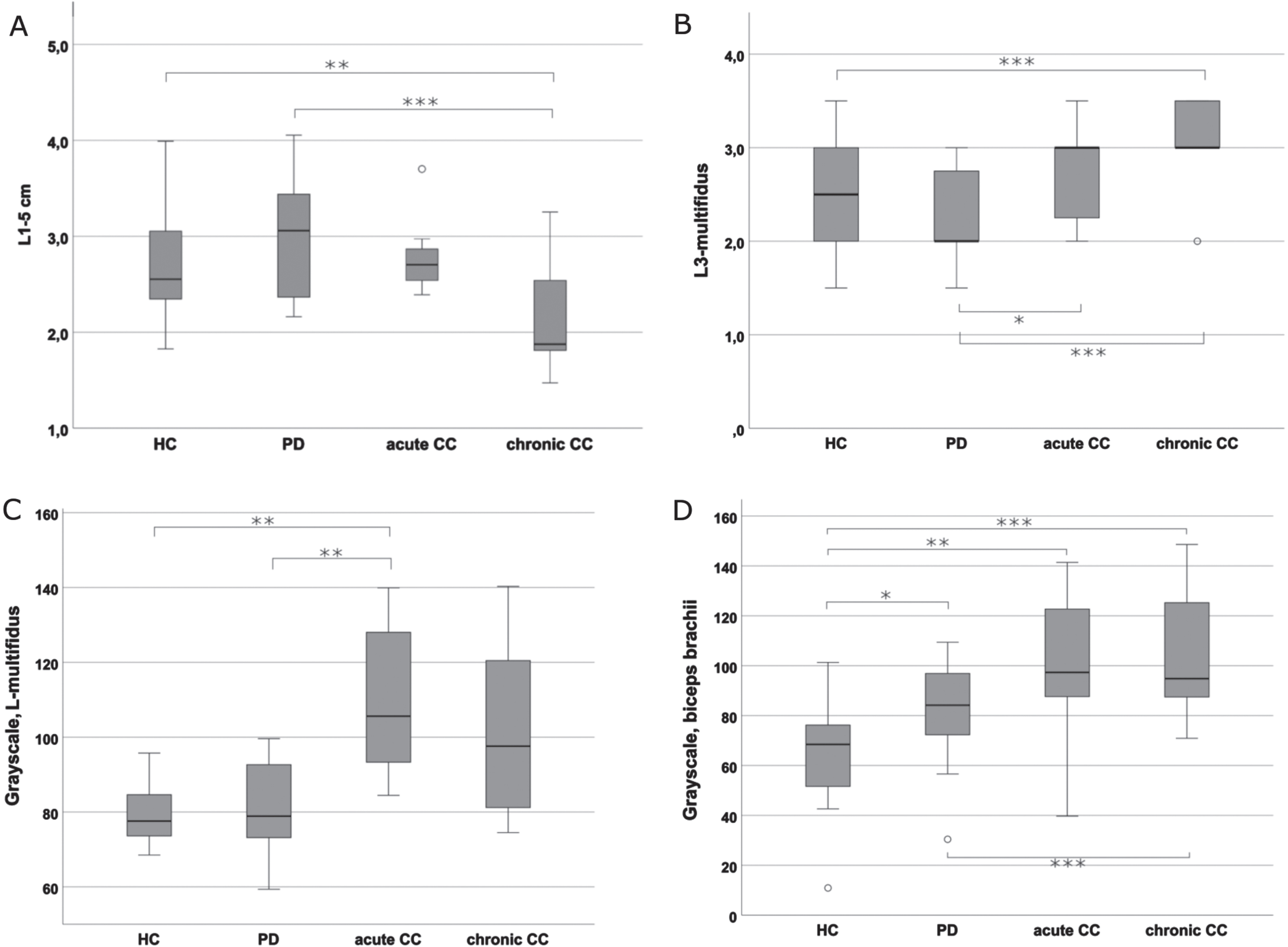 Comparison of the muscle thickness and echogenicity assessments between the groups. A) Mean values of linear measurements of paravertebral muscle thickness of L1-5 on both sides. The figure depicts significant differences in muscle thickness between PD-cCC vs. PD as well as PD-cCC vs. HC. B) Mean Heckmatt scores of cross-sectional L3-multifidus images on both sides. The figure depicts that PD-cCC and PD-aCC groups had significantly higher Heckmatt scores compared to PD group. The difference between PD-cCC and HC was also significant. C) Grayscale analysis of cross-sectional L3-multifidus on both sides. The figure depicts that PD-aCC had significantly brighter muscle echogenicity compared to PD and HC. PD-cCC had also higher scores but the difference was non-significant. D) Grayscale analysis of cross-sectional biceps brachii on the right side. Note the significant increase in biceps echogenicity in all the PD groups compared HC, with PD-cCC the highest echogenicity. *<0.05; **≤0.01; ***≤0.001.