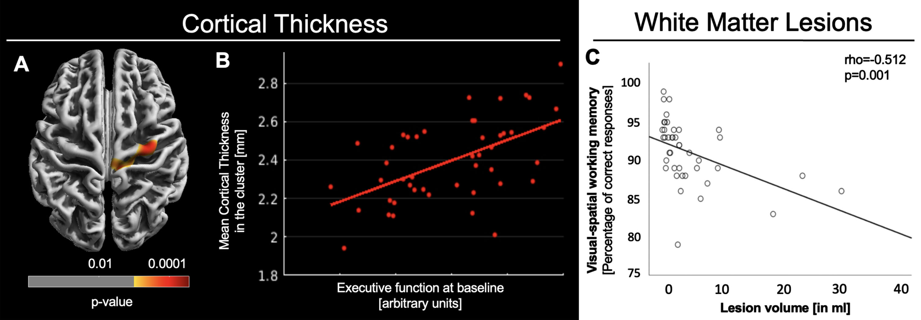A) Multiple regression between executive function at baseline and cortical thickness. Positive contrast on executive function at baseline corrected for age and sex. p < 0.05 FWE corrected on cluster level. B) Plot of the linear regression between mean cortical thickness (in mm) extracted from the cluster and executive function at baseline (arbitrary units) corrected for age and sex. C) Scatter plot of visual-spatial working memory at baseline and lesion volume [in ml] with linear fitline. Rho and p-value of the partial rank correlation corrected for age and sex.