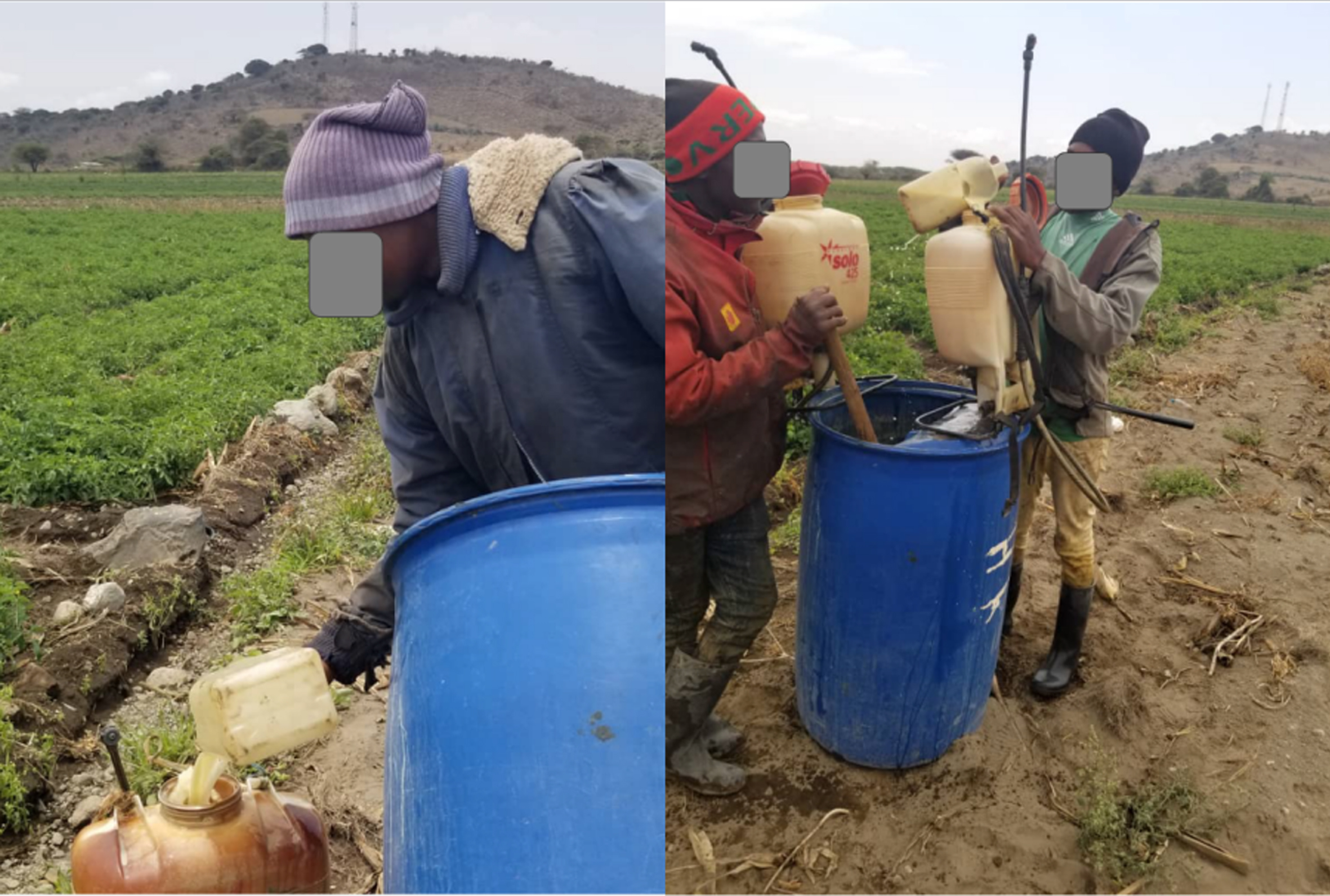 Tanzanian farmers using pesticides (photo with permission of depicted individuals, RJ Mwezi).