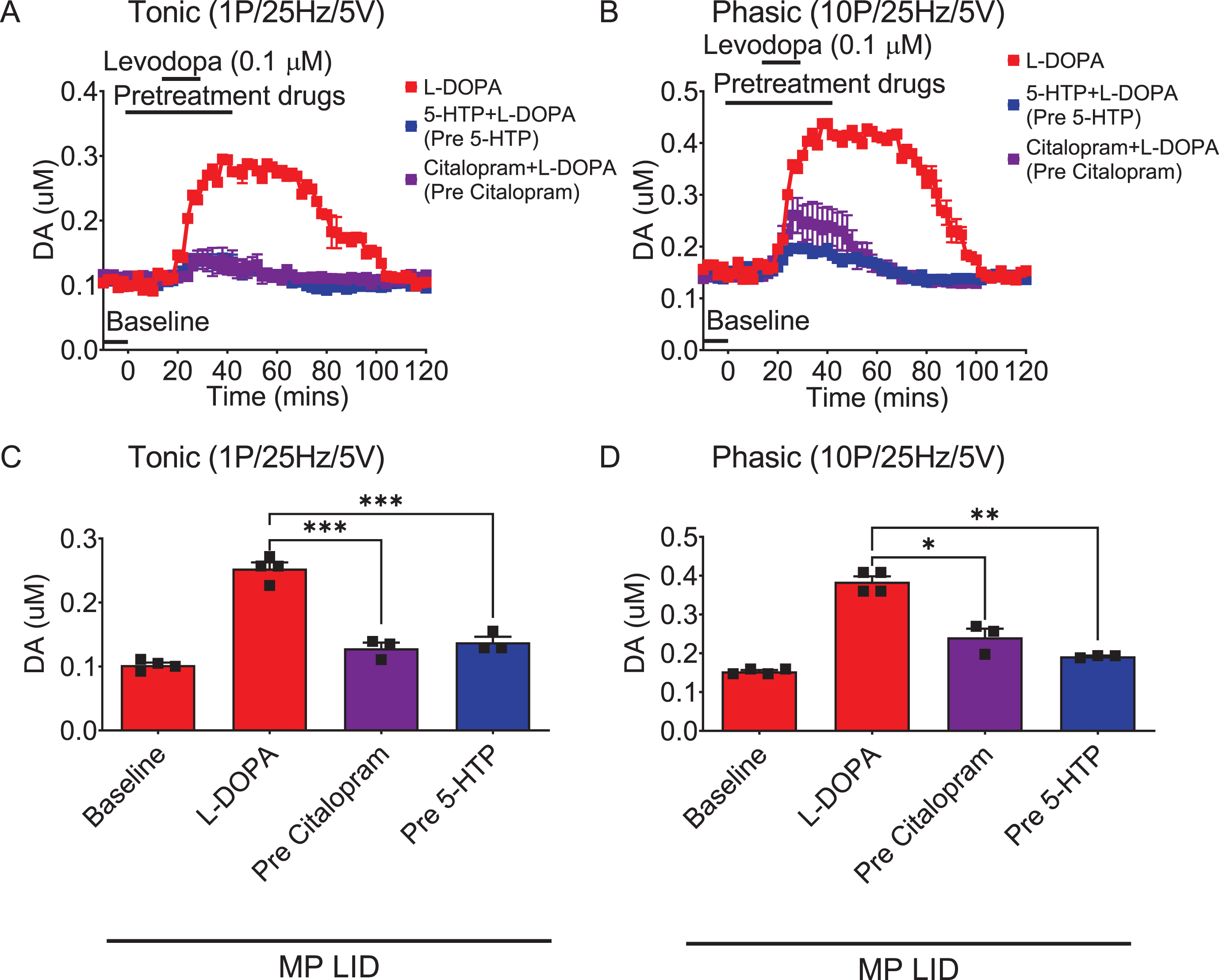 DA release in striatal slices detected by FSCV. Both L-DOPA-induced increments in tonic (A) and phasic (B) release were reduced after Citalopram (0.1μM) infusion in brain slices from MP LID groups. Overall, the administration of 5-HTP or Citalopram, effectively suppressed both tonic (C) and phasic (D) dopamine release induced by L-DOPA infusion in the MP LID group. One-way ANOVA followed by a Bonferroni post hoc test for multiple comparisons. *p < 0.05, **p < 0.01, ***p < 0.001, compared to MP LID + L-DOPA.