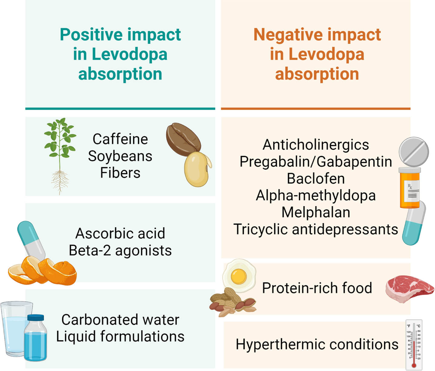 Elements that have a possible interference with Levodopa absorption.