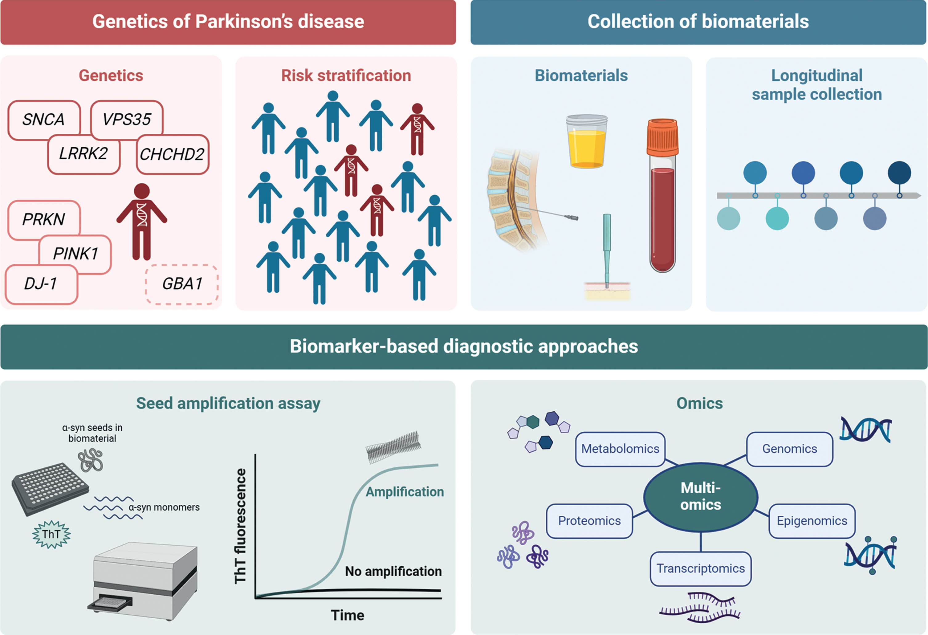 Scheme on the search for new biomarkers. (i) Stratification of risk groups of asymptomatic mutation carriers, (ii) longitudinal collection of biomaterials, (iii) verification of biomarker search by using the established α-synuclein seed amplification assays, and (iv) search for new biomarkers using a multi-omics approach. Created with BioRender.com.