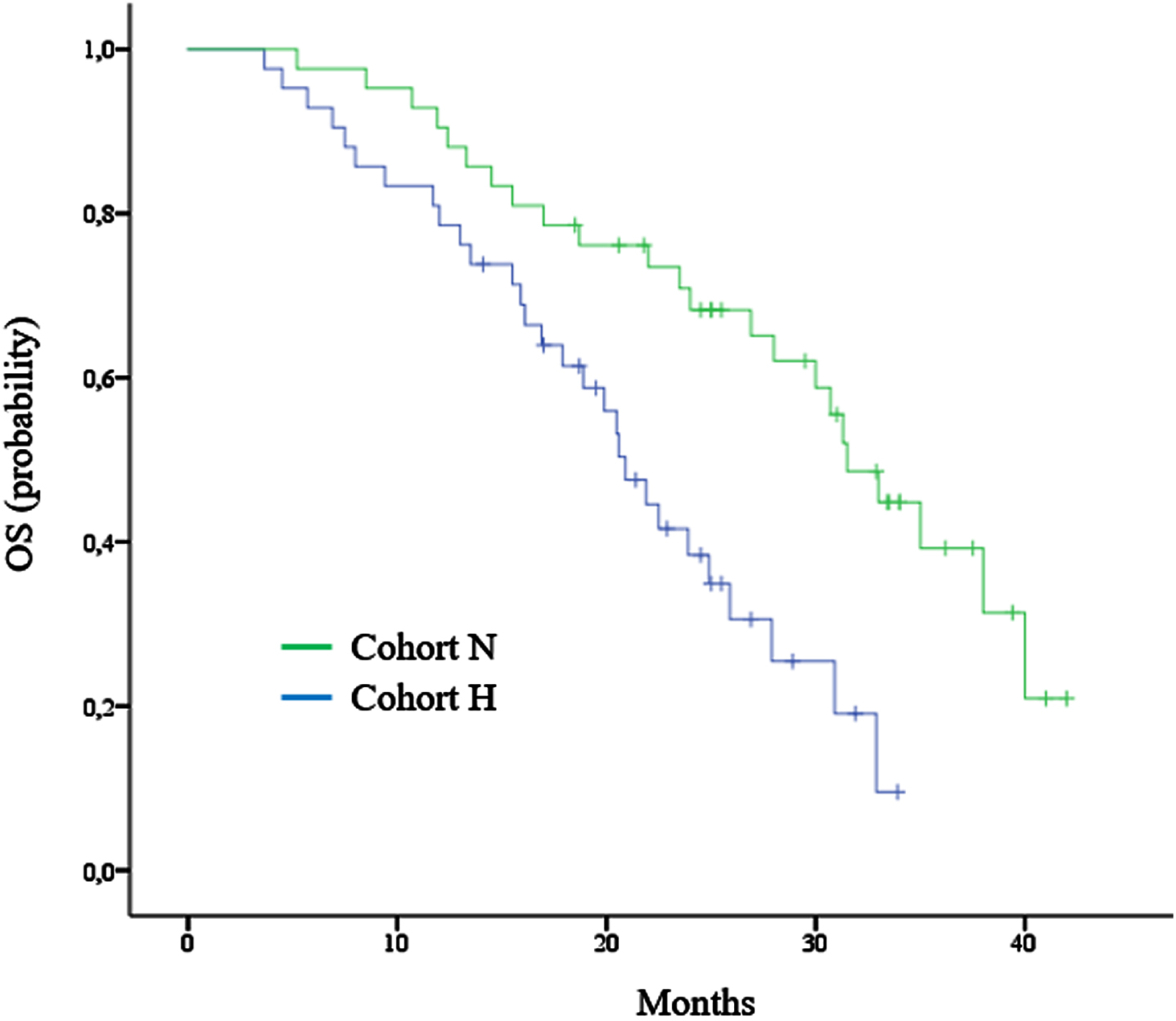 Kaplan–Meier curve for overall survival (OS).