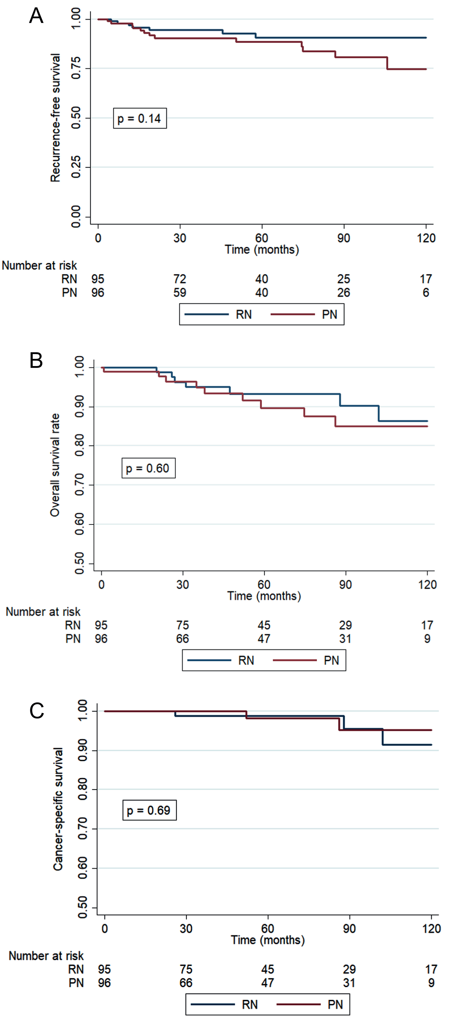 A–C: Kaplan-Meier estimates of recurrence-free survival (adjusted for risk group) (A), overall survival (B), cancer-specific survival (C).